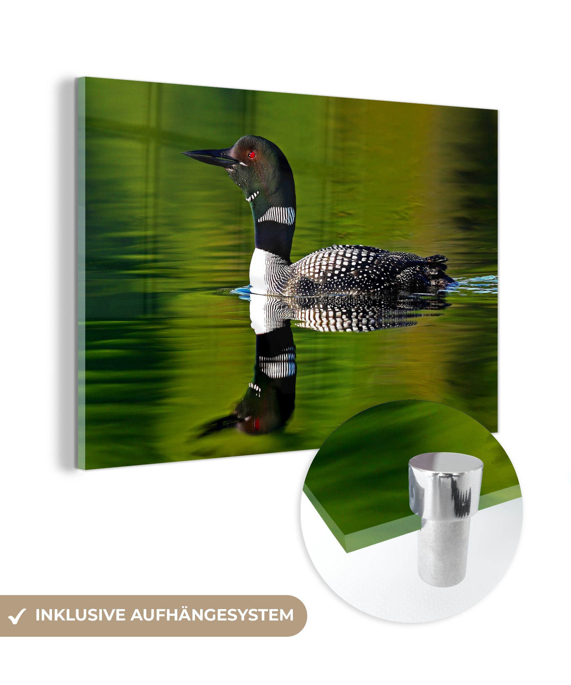 Acrylglasbilder Reflexion Acrylglasbild Schlafzimmer St), (1 eines & Wohnzimmer MuchoWow Eistauchers,