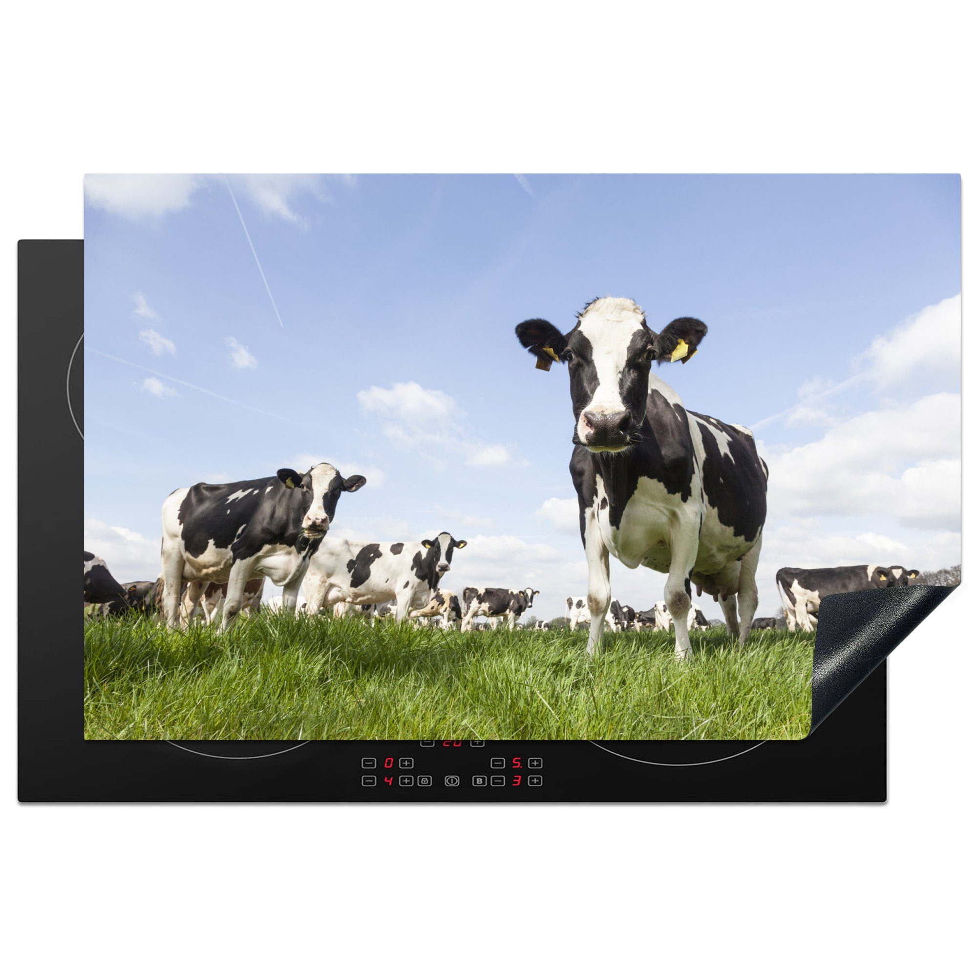 MuchoWow Herdblende-/Abdeckplatte Kühe - Gras - Tiere - Sonne - Bauernhof, Vinyl, (1 tlg), 81x52 cm, Induktionskochfeld Schutz für die küche, Ceranfeldabdeckung