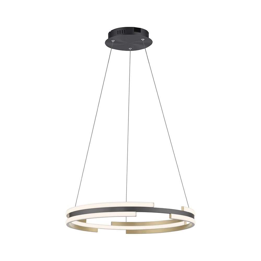 Paul Neuhaus Smarte LED-Leuchte LED Pendelleuchte Q-BELUGA Smart Home, Smart Home, RGB, Dimmfunktion, Memoryfunktion, CCT, mit Leuchtmittel, warmweiß, tageslichtweiß, Works with Alexa, APP, Fernbedienung