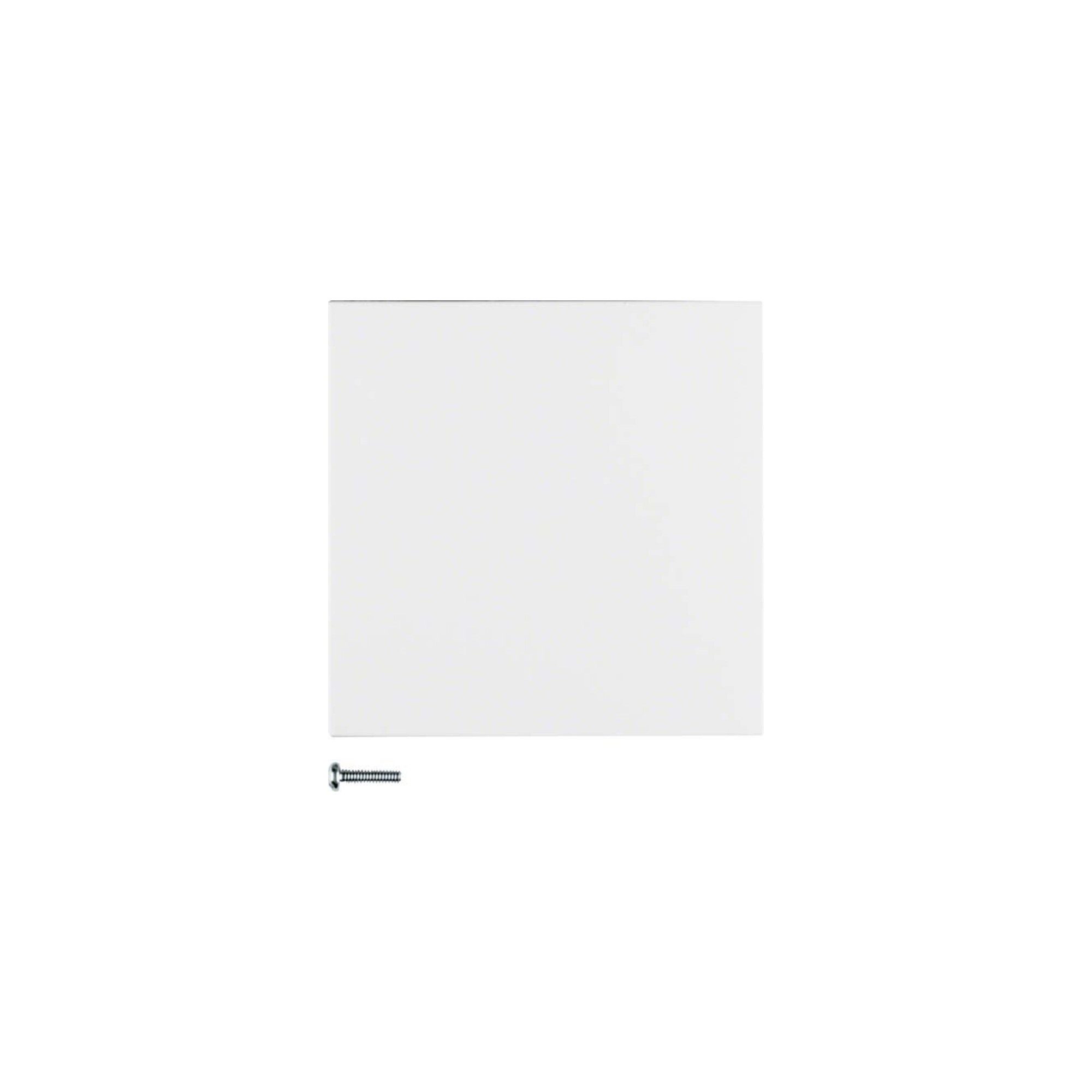 Berker Schalter Berker Taste 1fach polarweiß matt 85141188