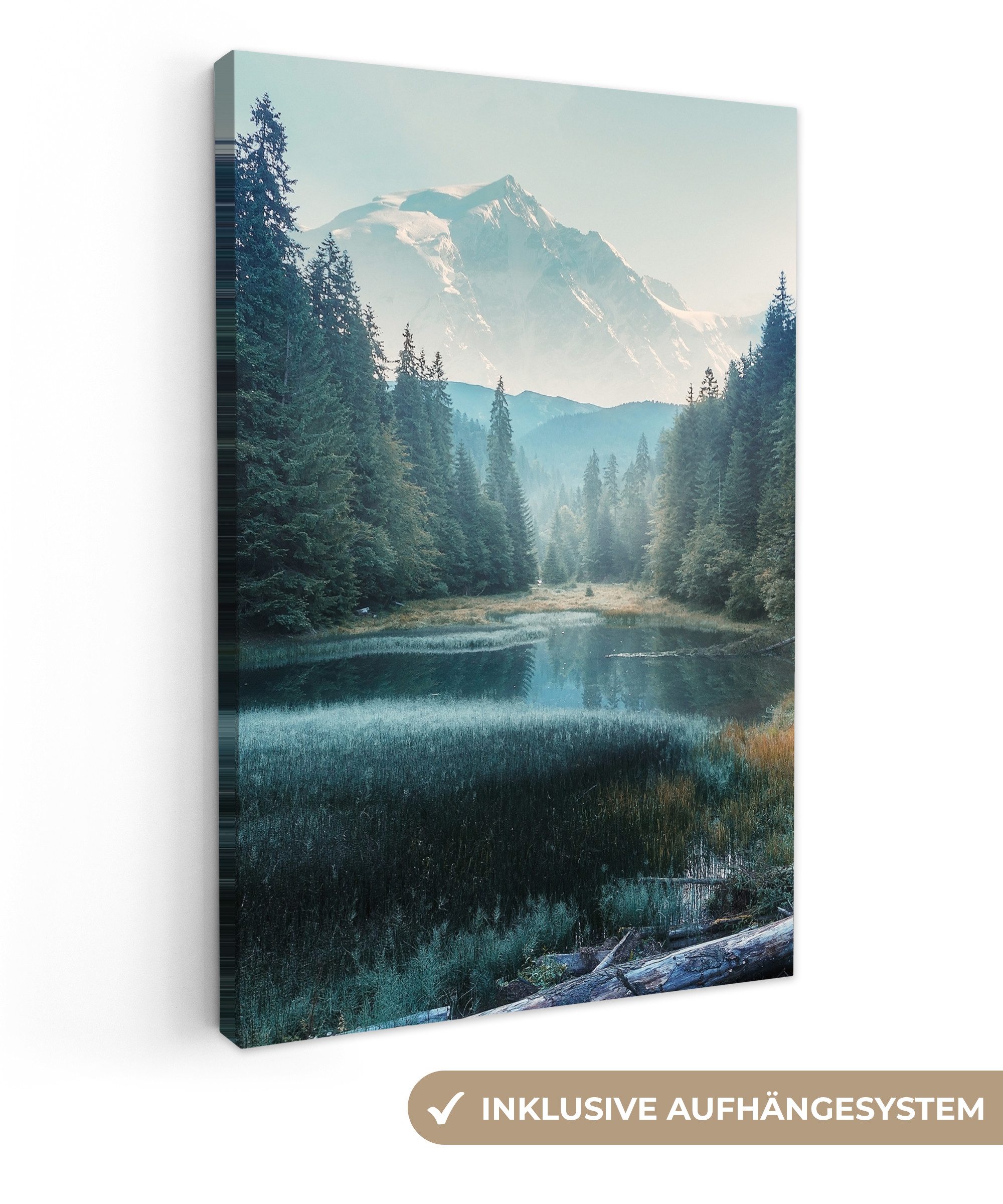 OneMillionCanvasses® Leinwandbild Wald - Gras - Berge - Bäume - Natur, Foto günstig online kaufen