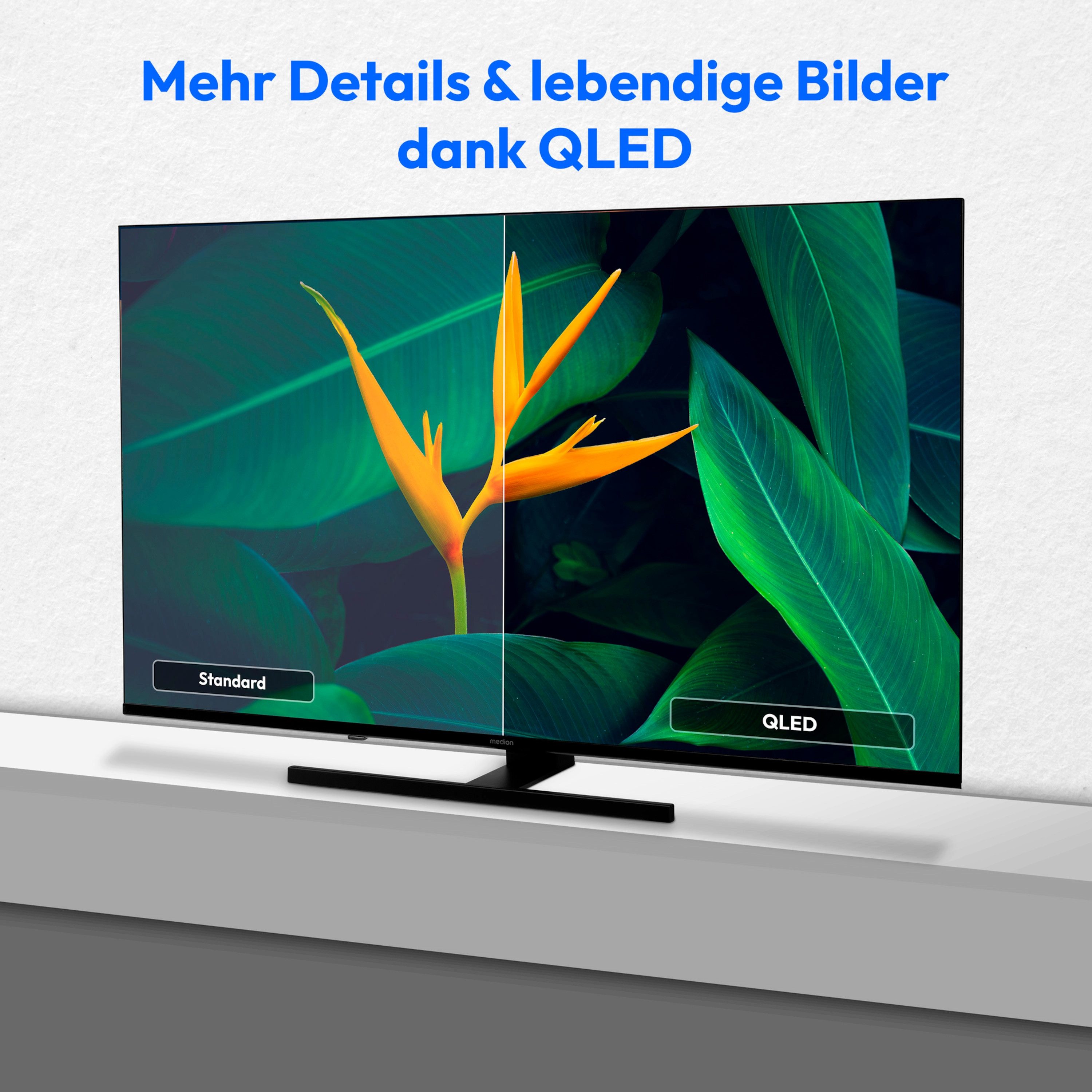 Medion® MD843800 LCD-LED Fernseher (108...