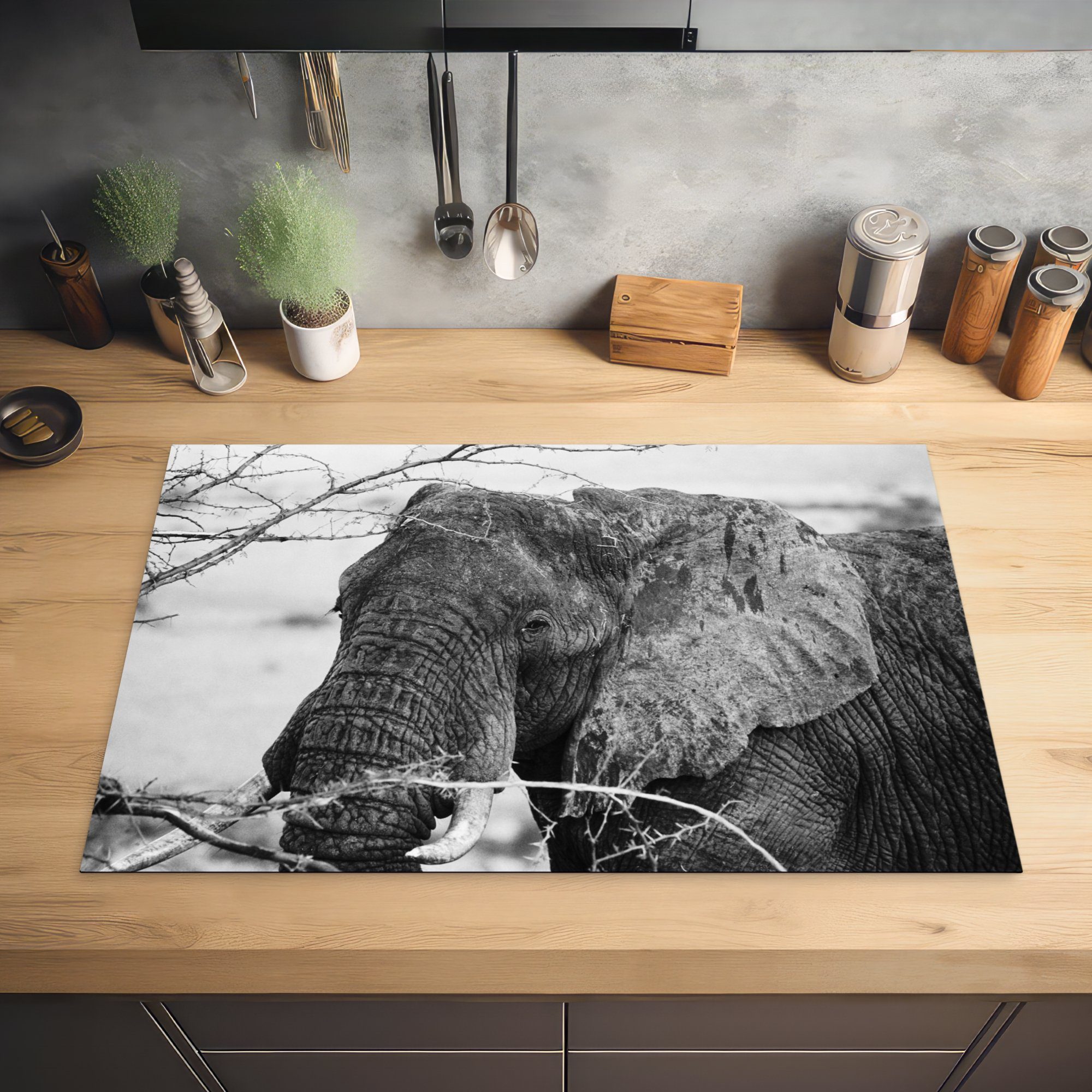 Äste (1 die MuchoWow Elefant für Ceranfeldabdeckung Natur und Herdblende-/Abdeckplatte - Induktionskochfeld - - weiß, cm, küche, Tiere tlg), 81x52 Vinyl, - Schutz Schwarz