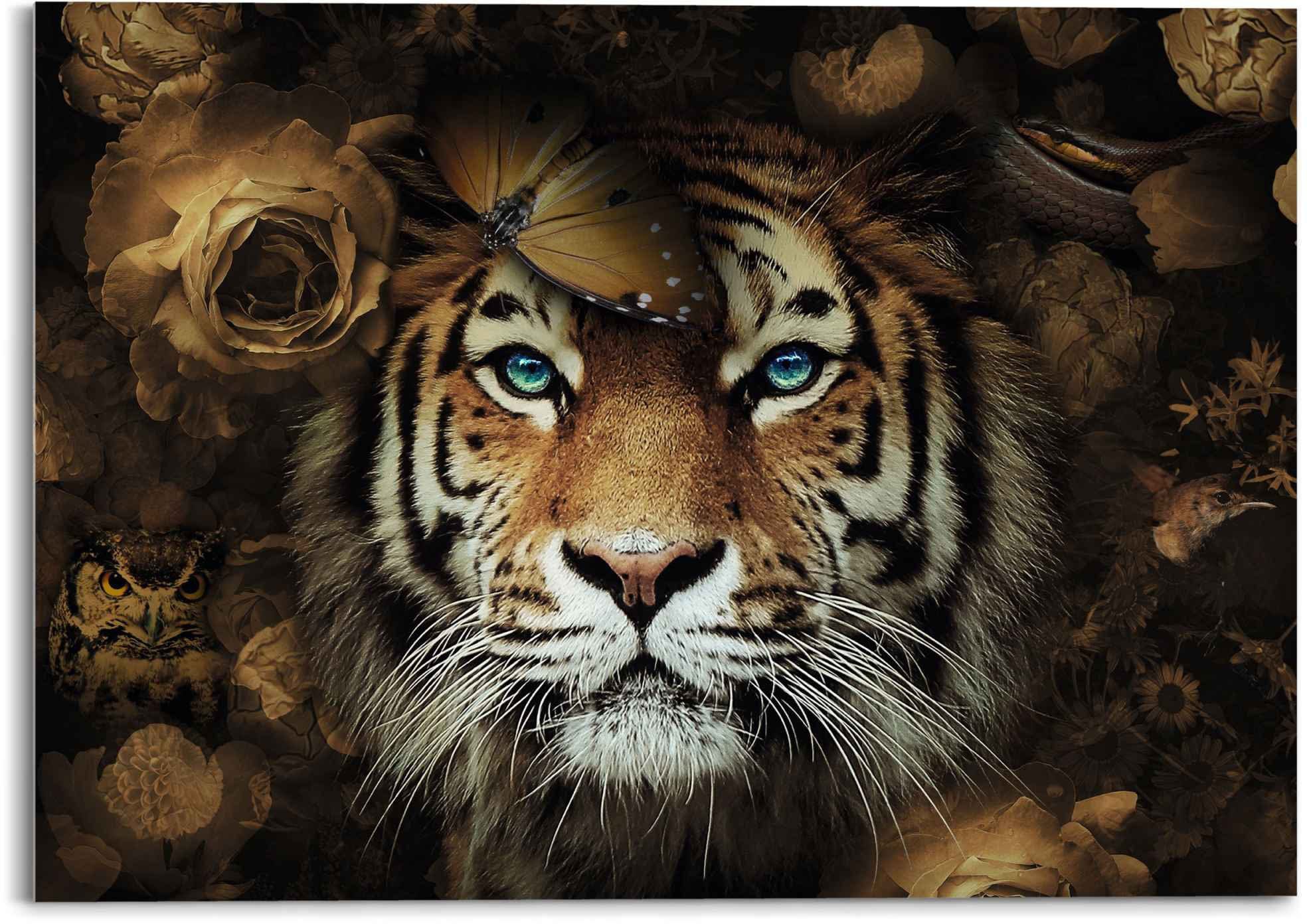 Tiger - Augen, Blaue Herbstfarben Reinders! St) Glasbild Tiger (1 - Tierreich - Blumen Glasbild