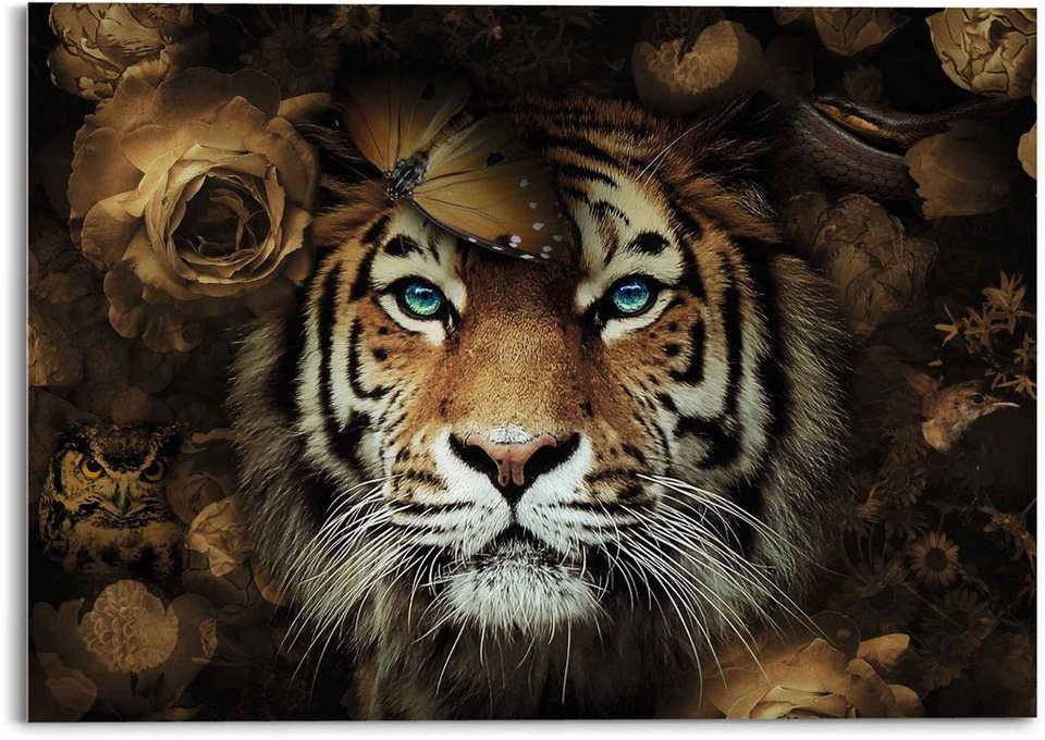 Reinders! Glasbild Glasbild Tiger Tierreich - Blumen - Herbstfarben - Blaue  Augen, Tiger (1 St) | Kunstdrucke