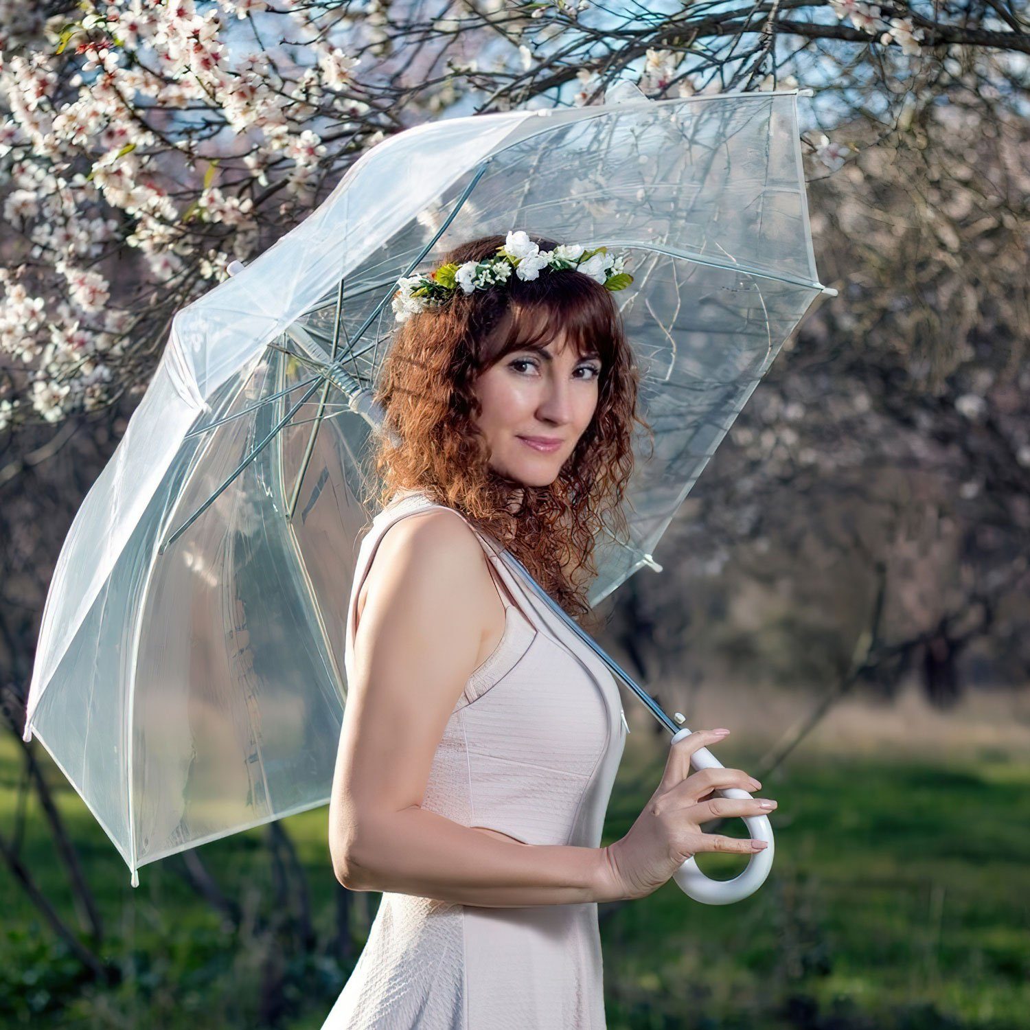 Goods+Gadgets Stockregenschirm Eleganter Regenschirm in transparent günstig online kaufen