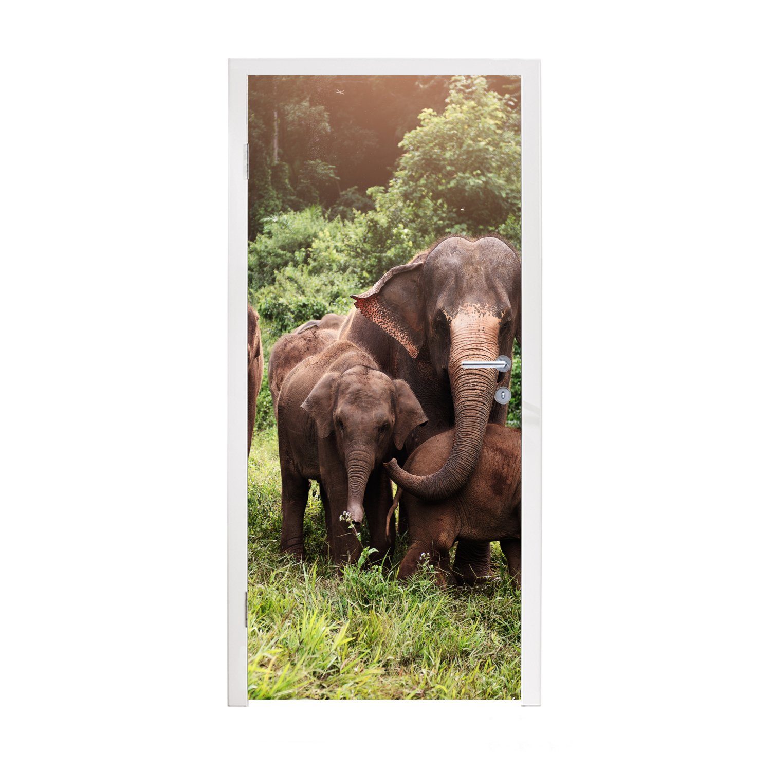 MuchoWow Türtapete Elefant - Tiere - Wald - Gras - Grün, Matt, bedruckt, (1 St), Fototapete für Tür, Türaufkleber, 75x205 cm