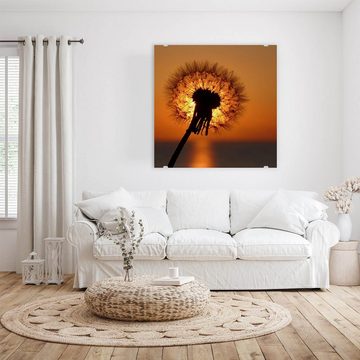 Primedeco Glasbild Wandbild Quadratisch Löwenzahn im Sonnenlicht mit Aufhängung, Blumen