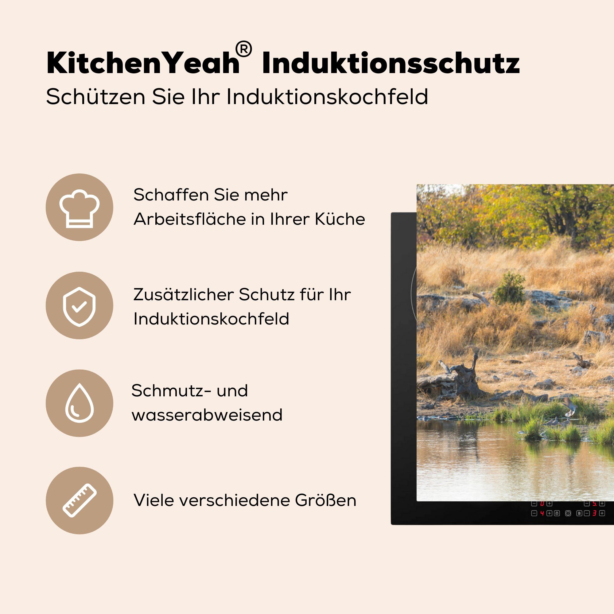 MuchoWow Herdblende-/Abdeckplatte Schutz 81x52 Wasserpfütze Induktionskochfeld die einer Ceranfeldabdeckung Vinyl, tlg), Elefantenbaby Namibia, küche, an (1 für cm, in