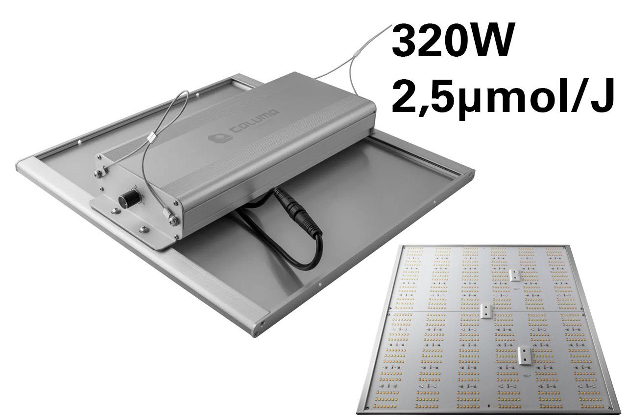 Green Spirit Gewächshaus Growbox Komplett Set günstig online kaufen