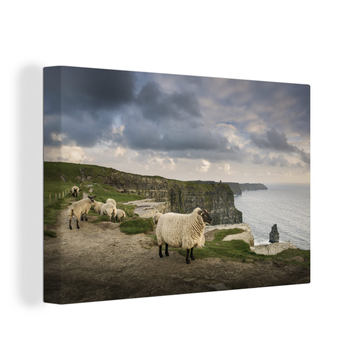 Küstenklippen Leinwandbilder, auf (1 Aufhängefertig, Irland, St), cm in OneMillionCanvasses® 30x20 Wandbild Schafe stehen Leinwandbild Wanddeko,