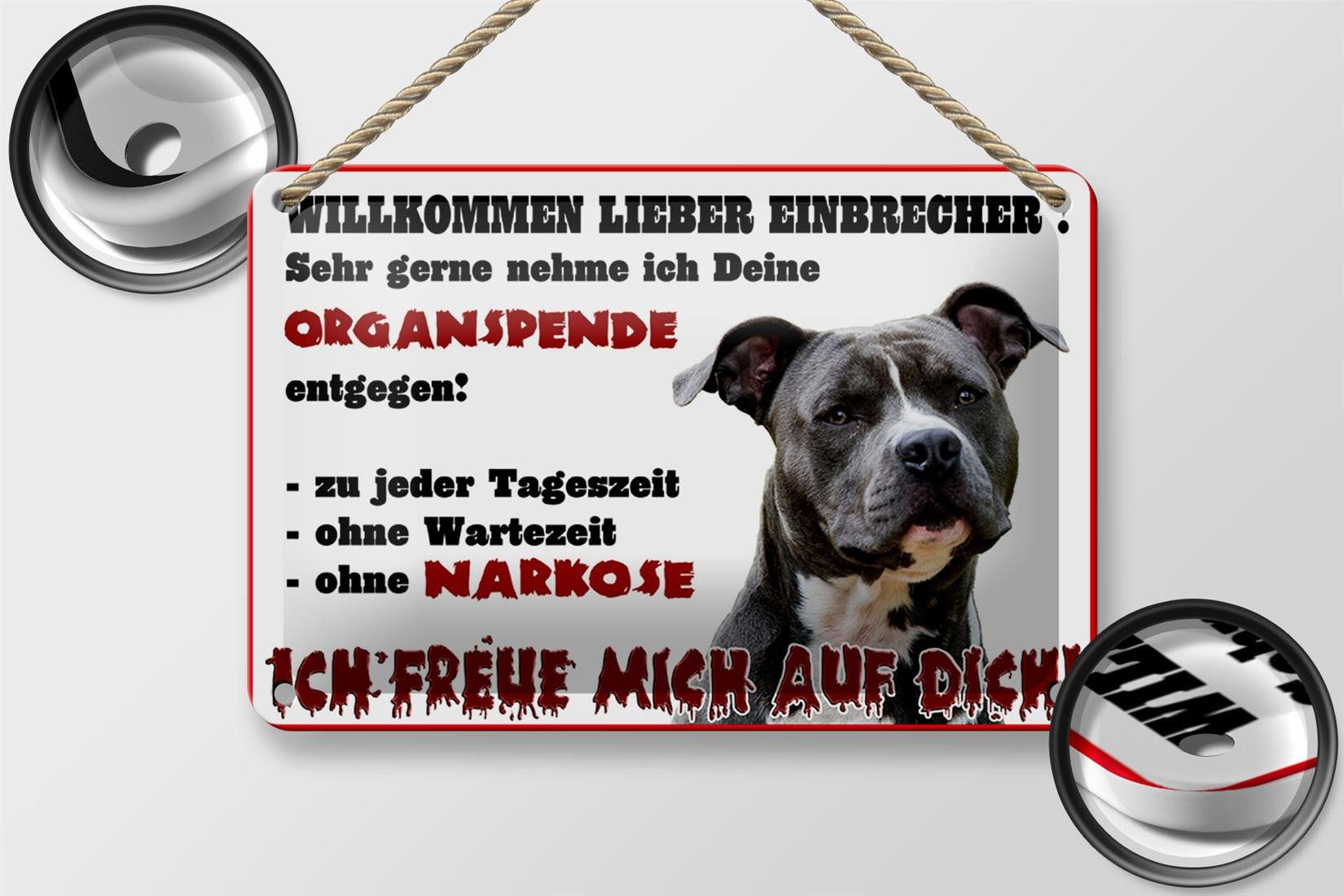 Femer GmbH Metallschild Hinweis 18x12cm Hund Willkommen Einbrecher, (1 St), günstig online kaufen