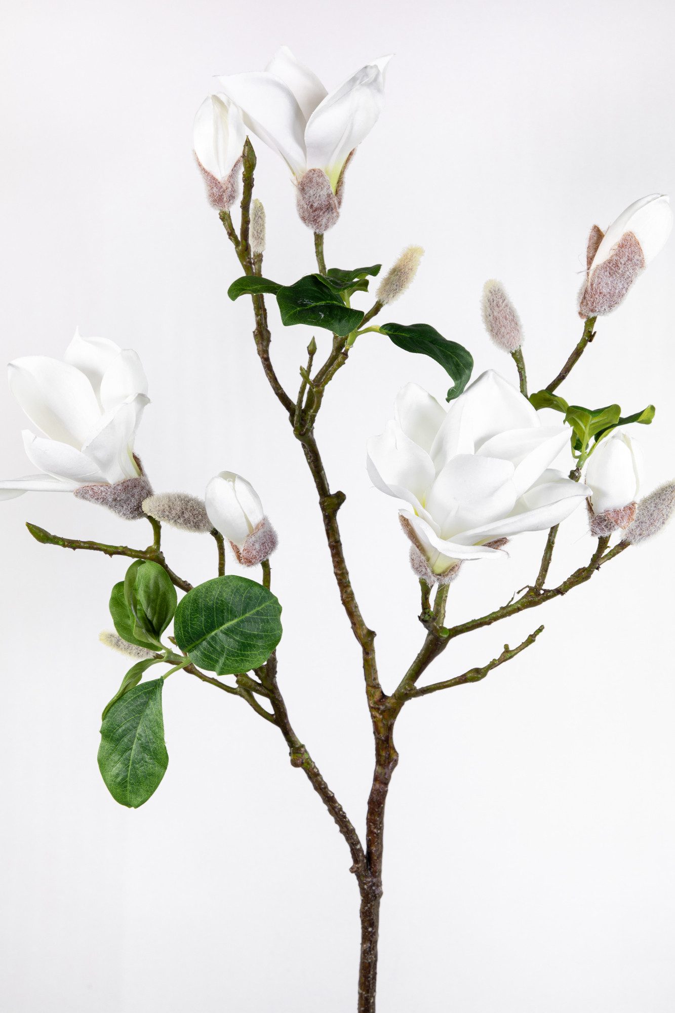 Kunstblume Magnolienzweig / Magnolienast 98cm weiß GA künstliche Blumen Magnolie, Seidenblumen Roß, Höhe 98 cm