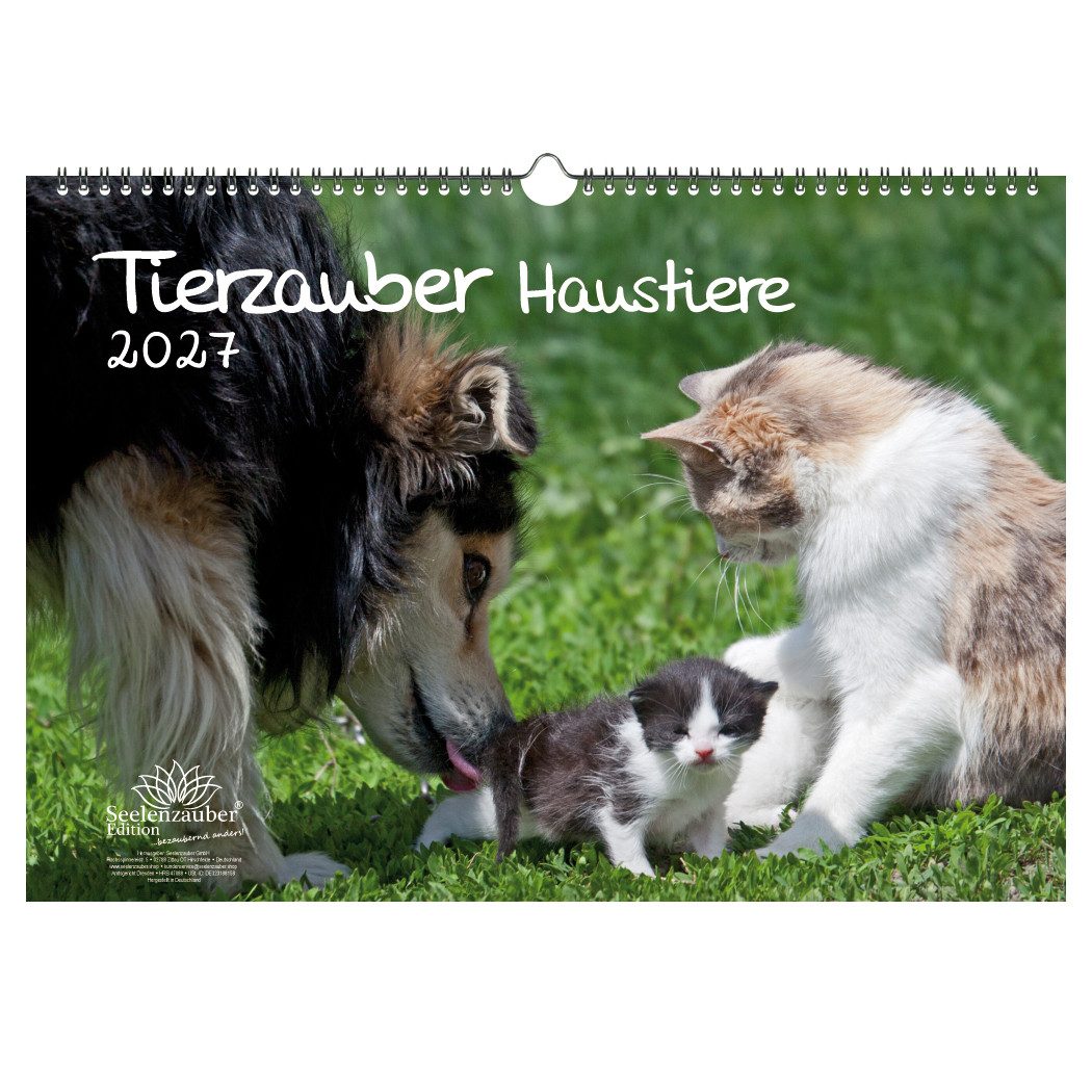 Seelenzauber Wandkalender Tierzauber Haustiere DIN A3 Kalender für 2027 - Seelenzauber