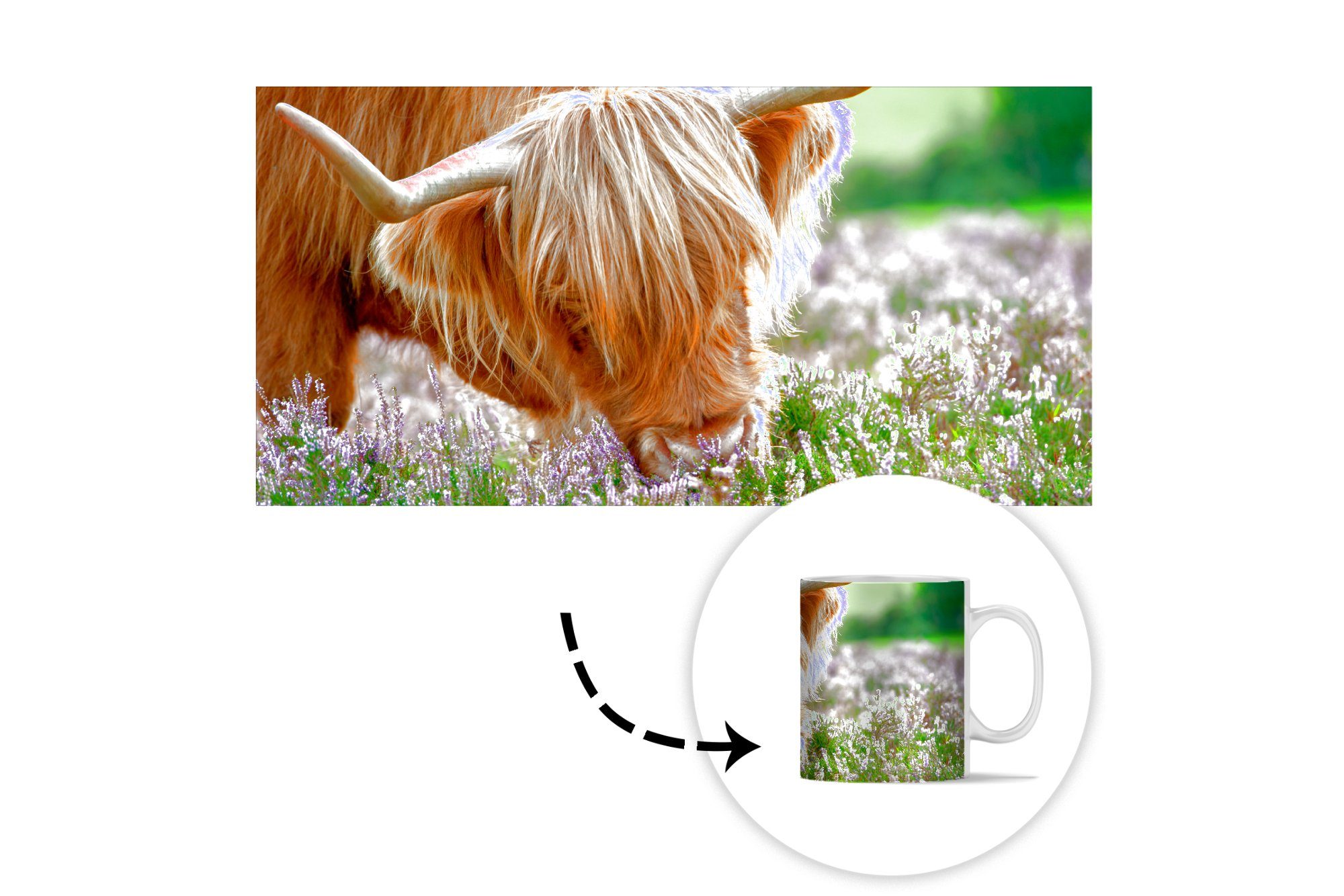 Schottische MuchoWow Tiere, Teetasse, - Gras Tasse - Geschenk Heidekraut Highlander Kaffeetassen, - Teetasse, Becher, Keramik,