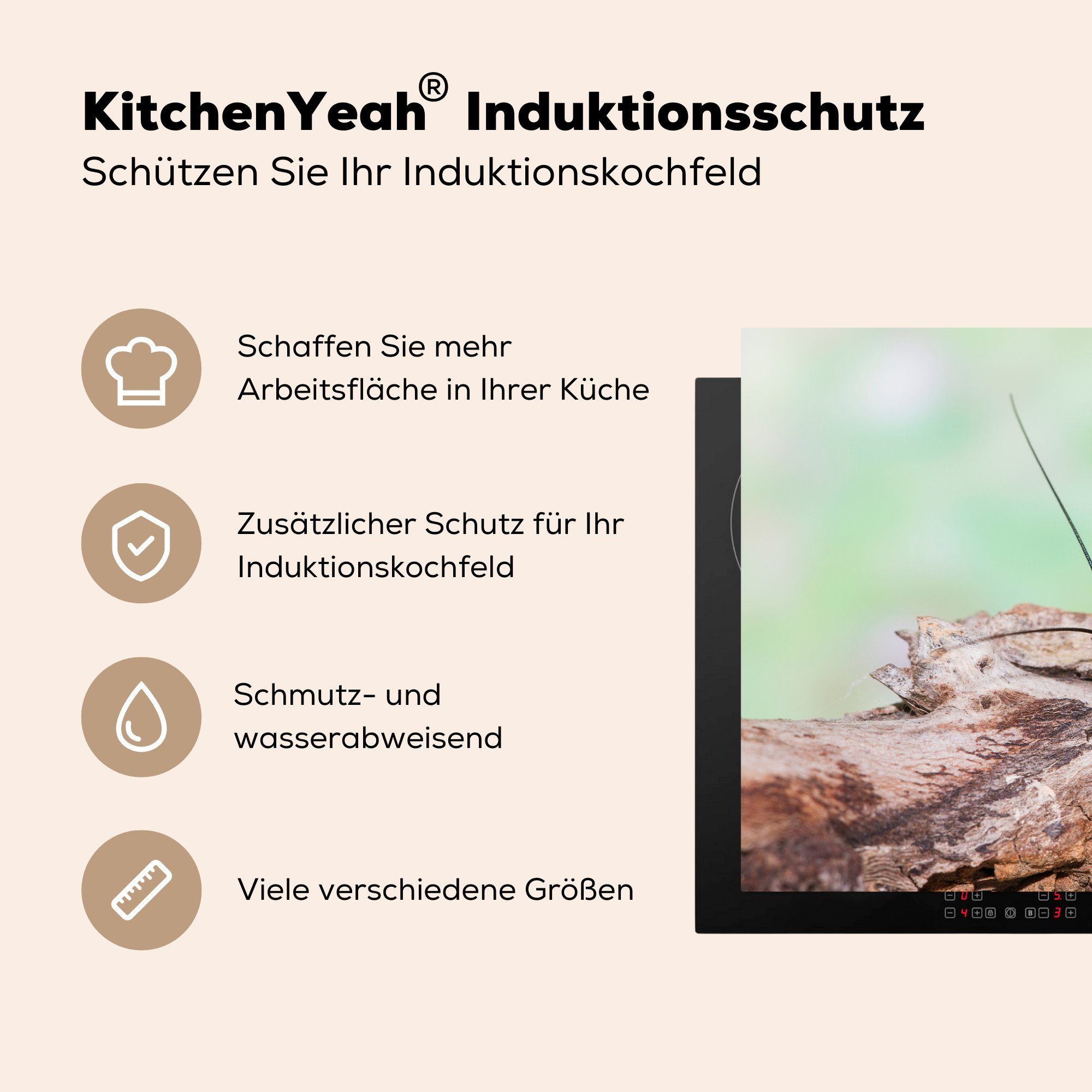 küche, Schutz 81x52 - Vinyl, Cricket Ceranfeldabdeckung Herdblende-/Abdeckplatte - für Schwarz, Induktionskochfeld Baumstamm cm, die MuchoWow (1 tlg),