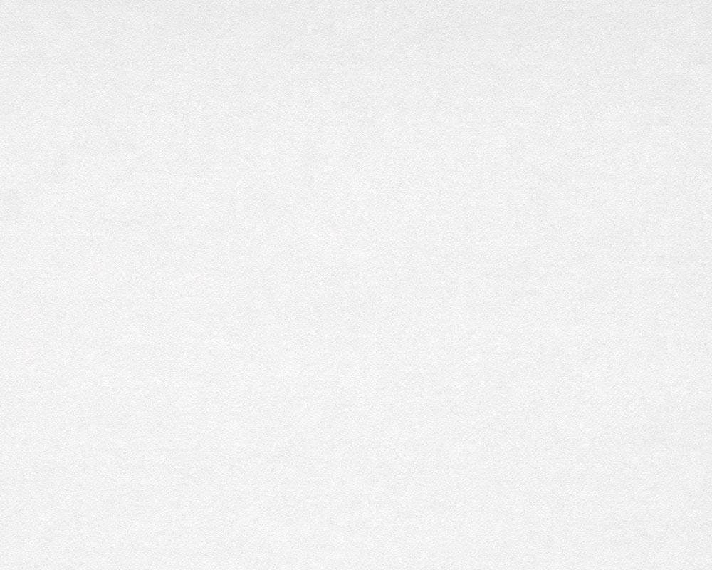 A.S. Création Vliestapete Glattvlies Renoviervlies Makulaturvlies, glatt, einfarbig, uni, unifarben, Vlies, Wand, Decke, Schräge Tapeten Wohnzimmer Schlafzimmer Küche Flur