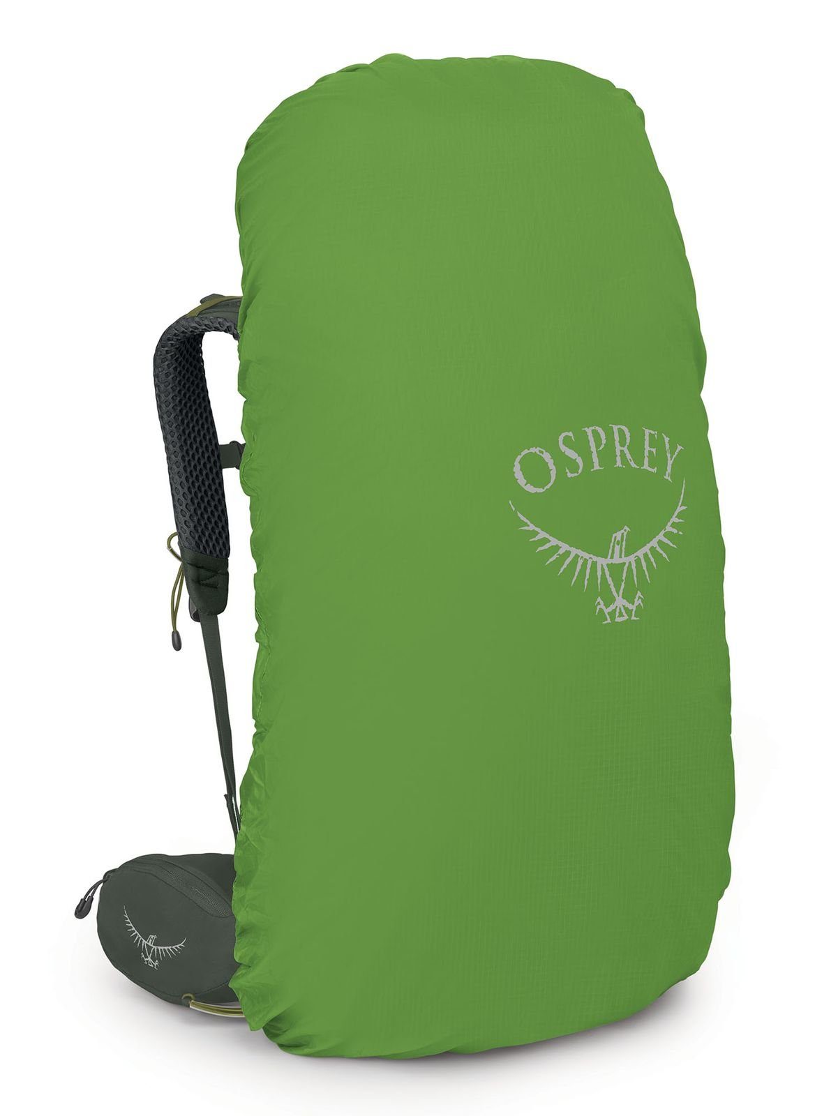 (Set) Green Osprey Rucksack Bonsai