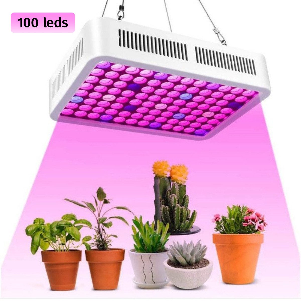 ZEUOPQ Pflanzenlampe LED Pflanzenlicht Vollspektrum wachsen Licht Pflanze wachsen Licht300W, LED