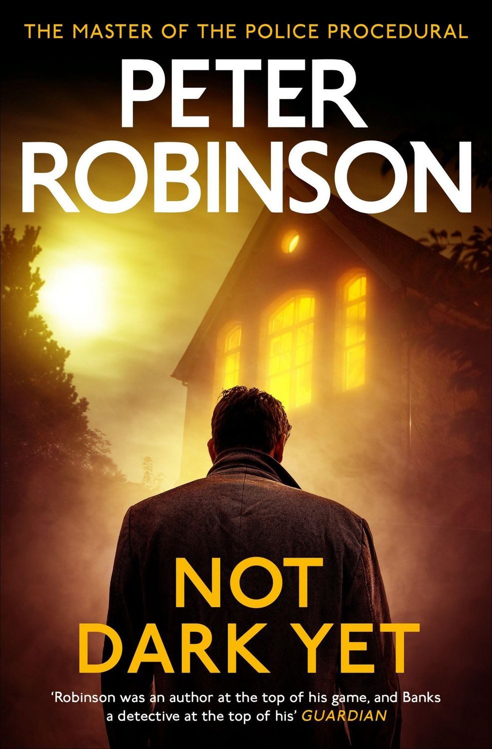Not Dark Yet / Peter Robinson