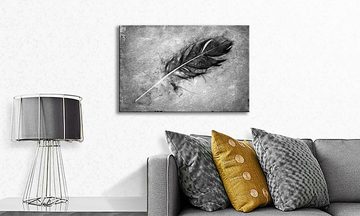 WandbilderXXL Leinwandbild Beautiful Feather, Ferdern (1 St), Wandbild,in 6 Größen erhältlich