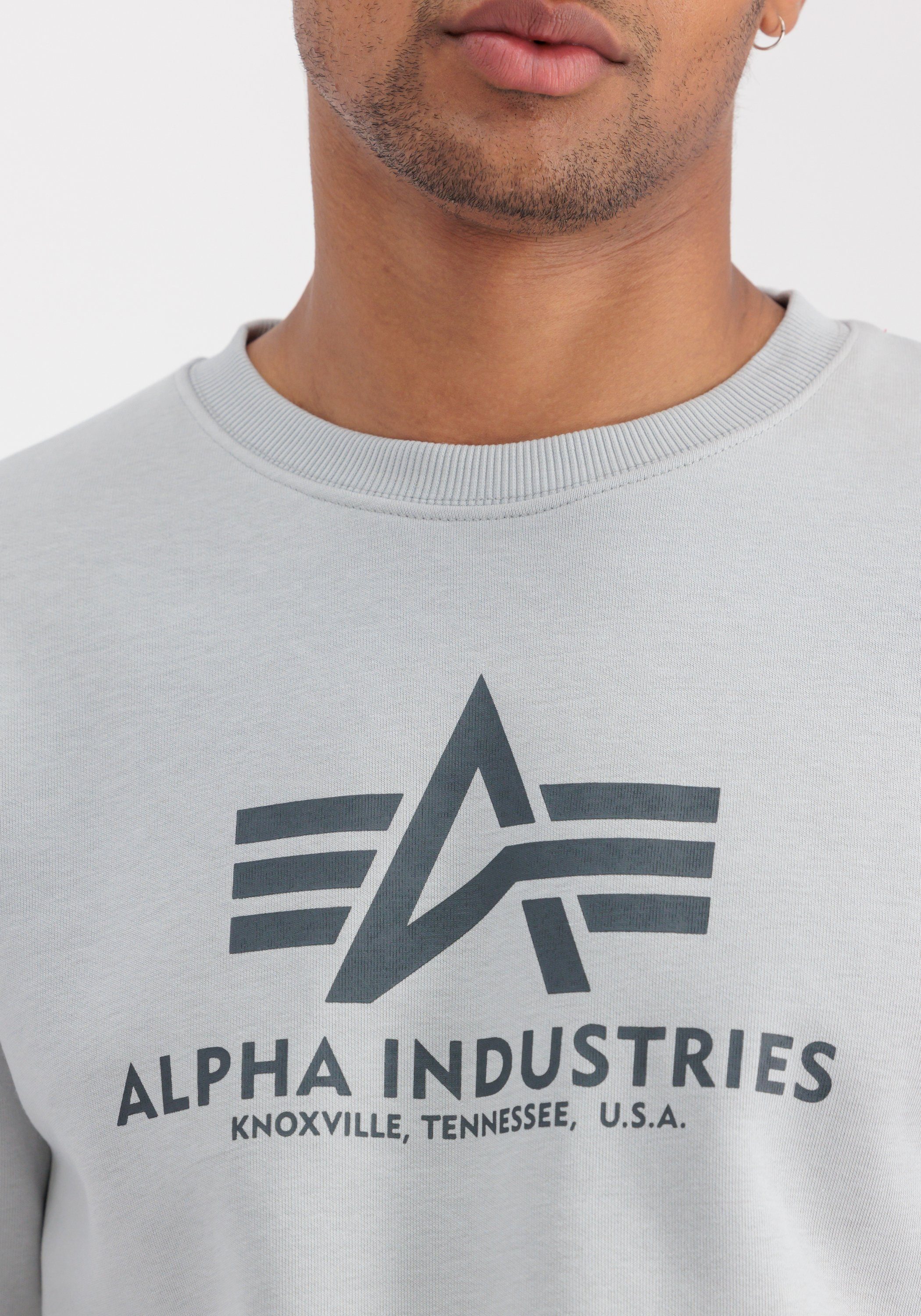 Alpha Industries Sweater - pastel Alpha Sweater Sweatshirts Basic Industries grey Men