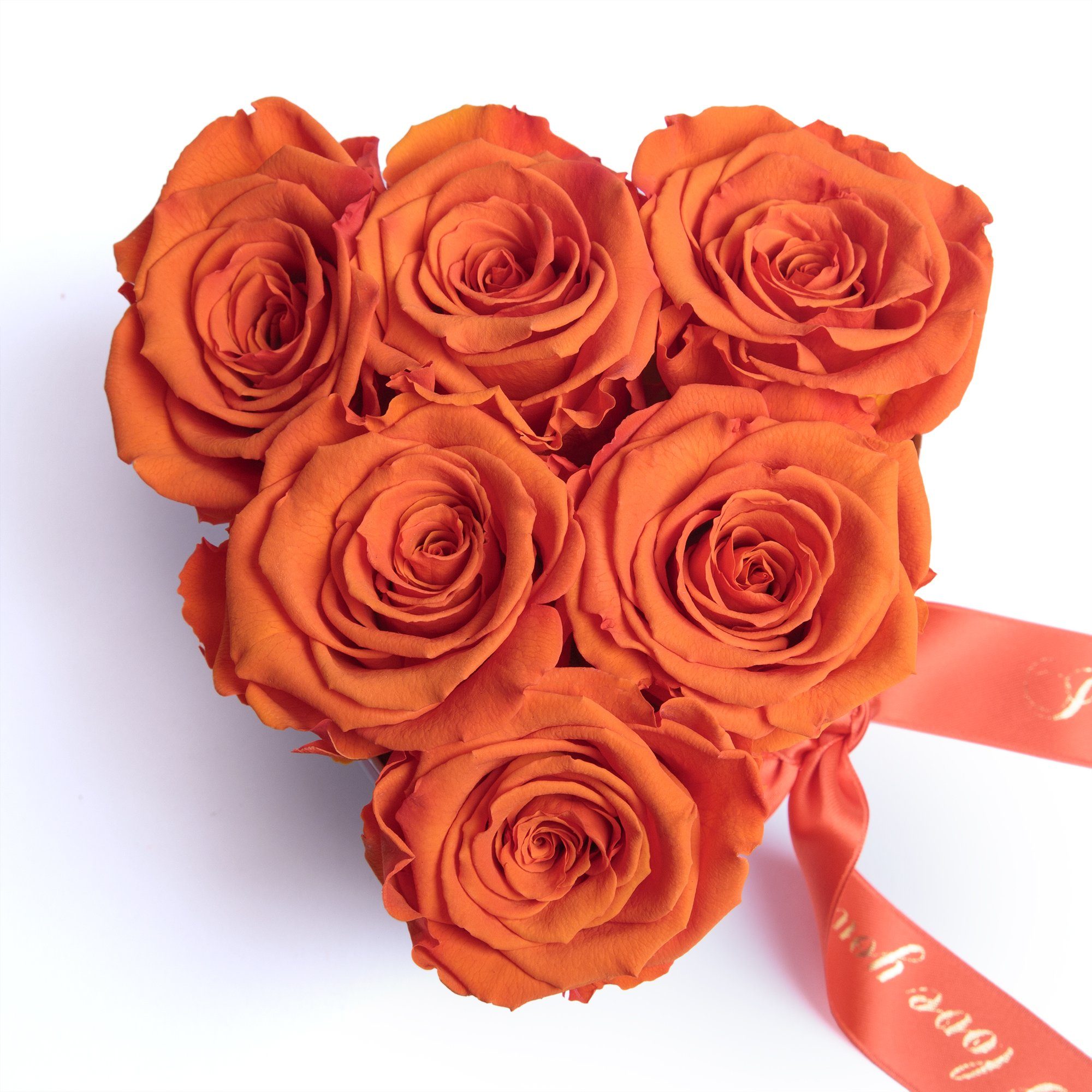 Orange Rosenbox You Herz 6 Rosen Frau SCHULZ Geschenk Frauen Rose, 10 Geschenk Love für für Infinity Heidelberg, Kunstblume cm, ewige ROSEMARIE Valentinstag Höhe I
