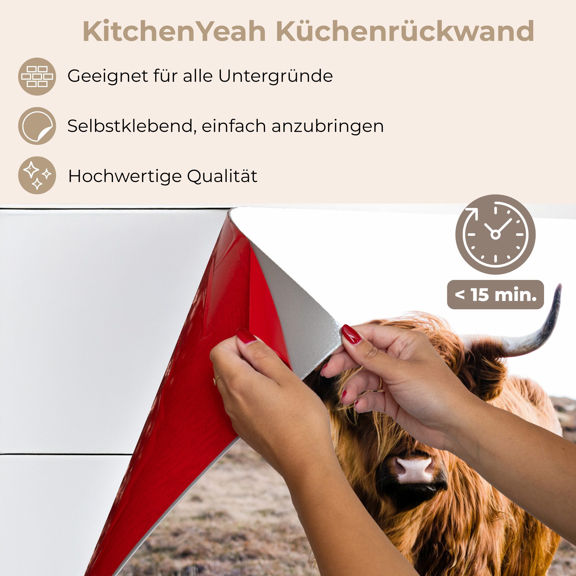 KitchenYeah Küchenrückwand selbstklebend Schottische Highlander - Landschaft - Kuh - Braun - Tier, (1-tlg), Spritzschutz, Küche, Rückwand, Küchenwand, Küchenfront, 80x60 cm