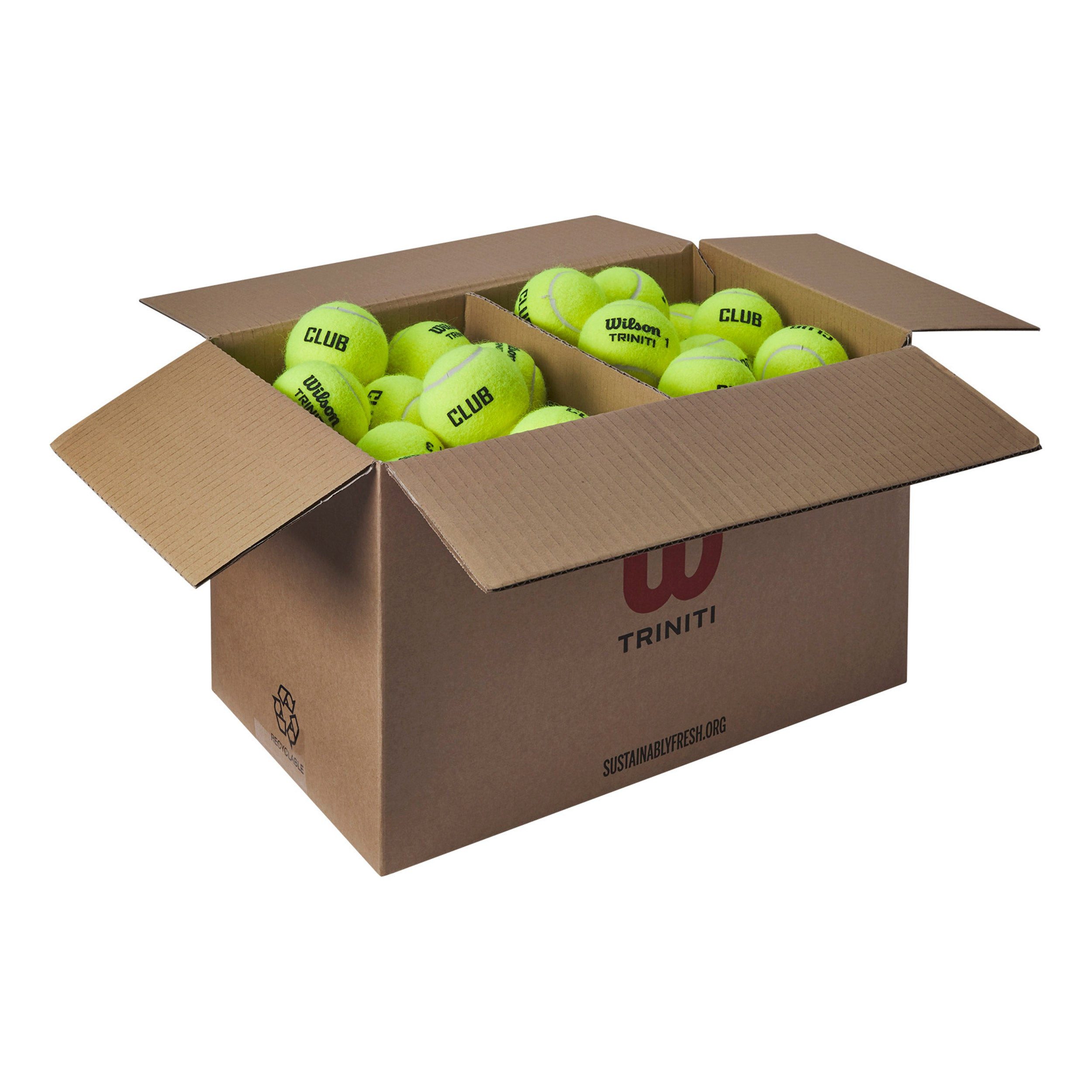 Wilson Tennisball Triniti Club - 72 Tennisbälle - Drucklose Bälle - (72er Box)
