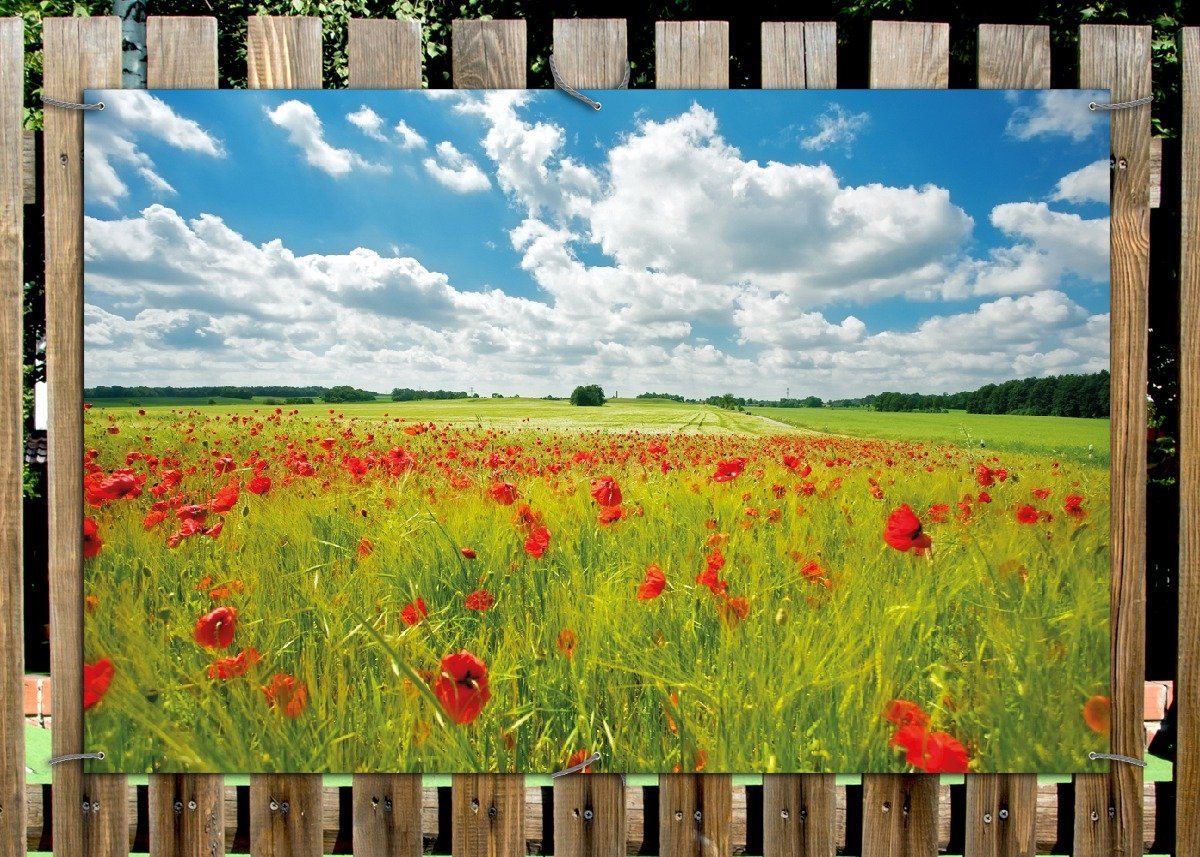 Thumbnail - Wallario Sichtschutzzaunmatten Grüne Wiese mit Mohnblumen