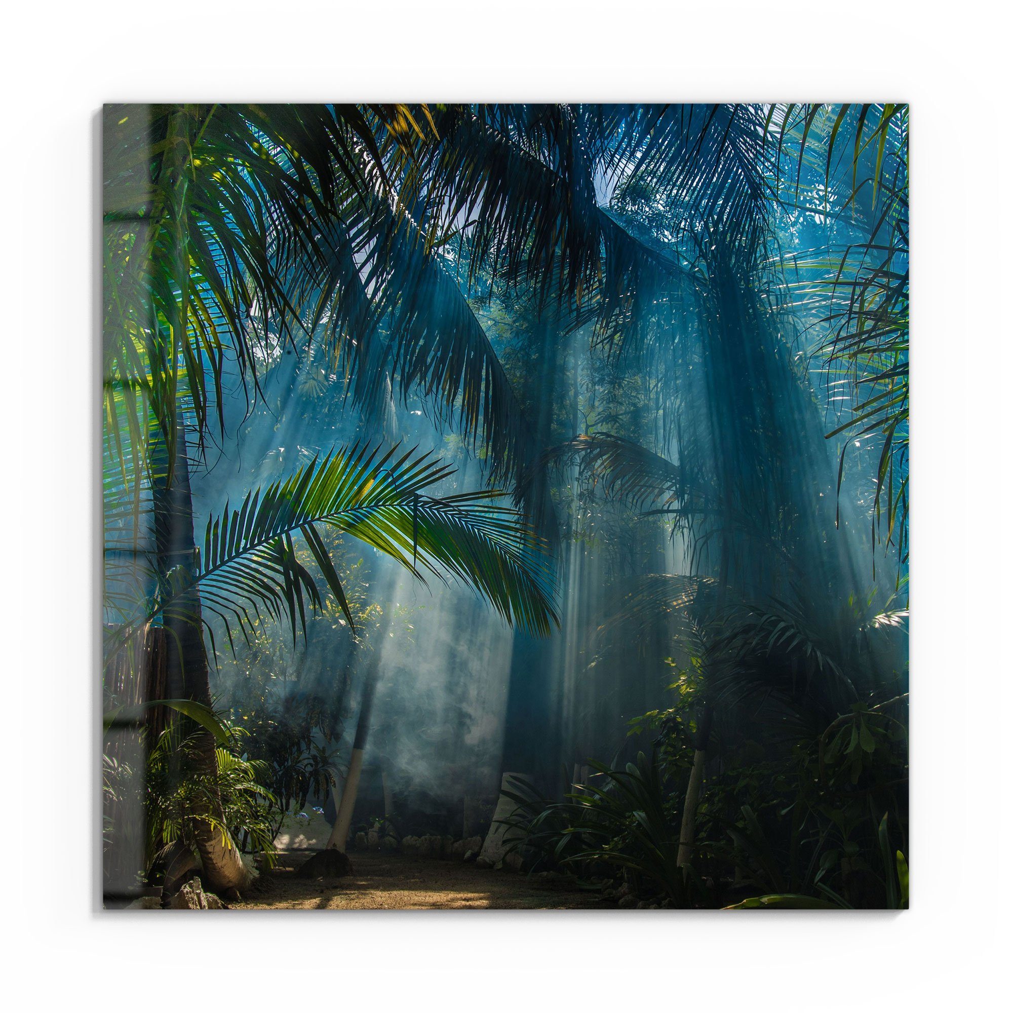 DEQORI Glasbild 'Licht durchdringt Palmen', 'Licht durchdringt Palmen',  Glas Wandbild Bild schwebend modern