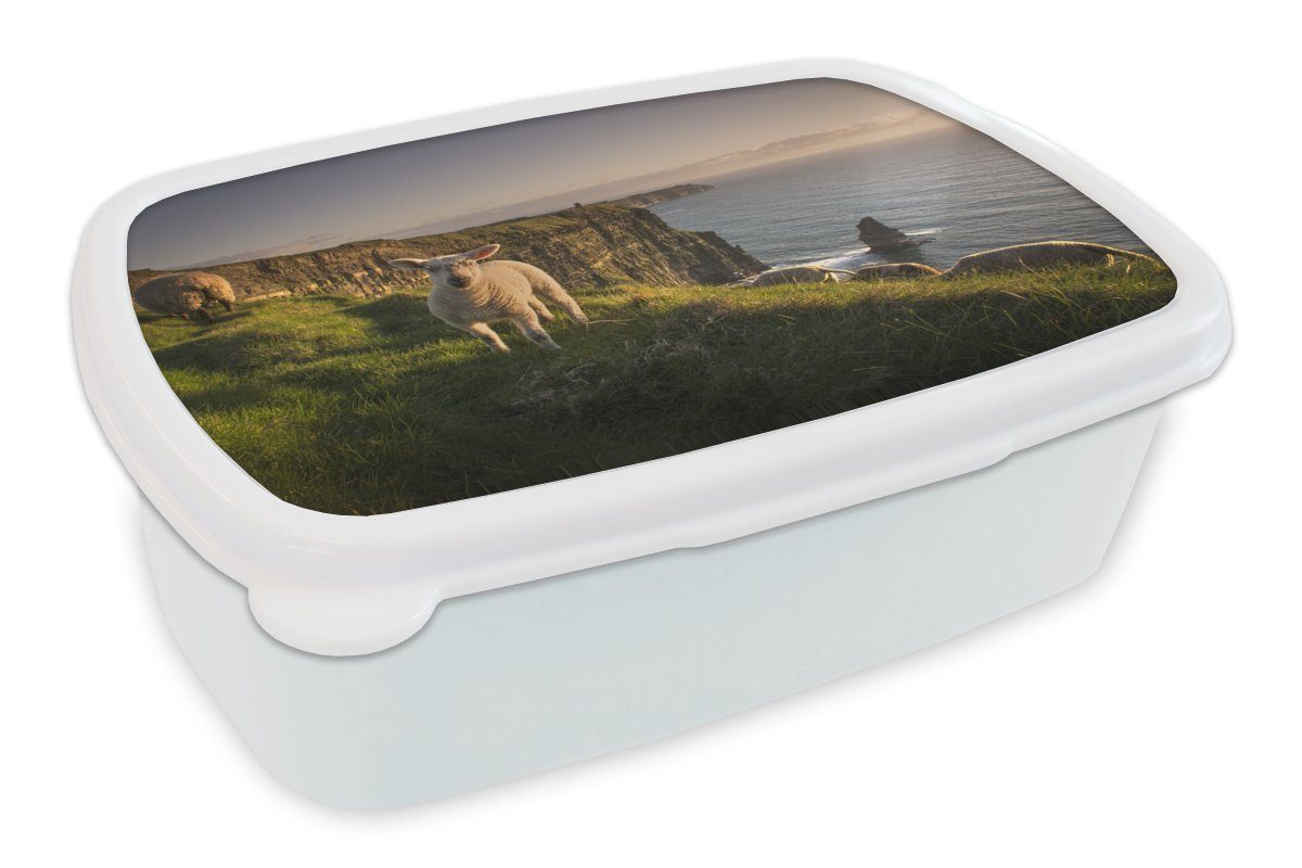 MuchoWow Lunchbox Schafe auf den Mädchen Moher, Jungs Kunststoff, Erwachsene, und Brotbox für weiß of und Brotdose, Cliffs (2-tlg), für Kinder