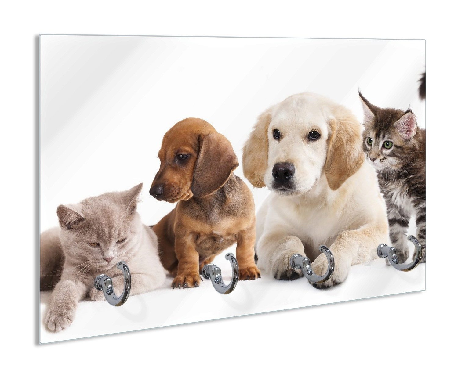 Wallario Schlüsselbrett Hundewelpen und Katzenjunge, (inkl. Aufhängeset), 30x20cm, aus ESG-Sicherheitsglas