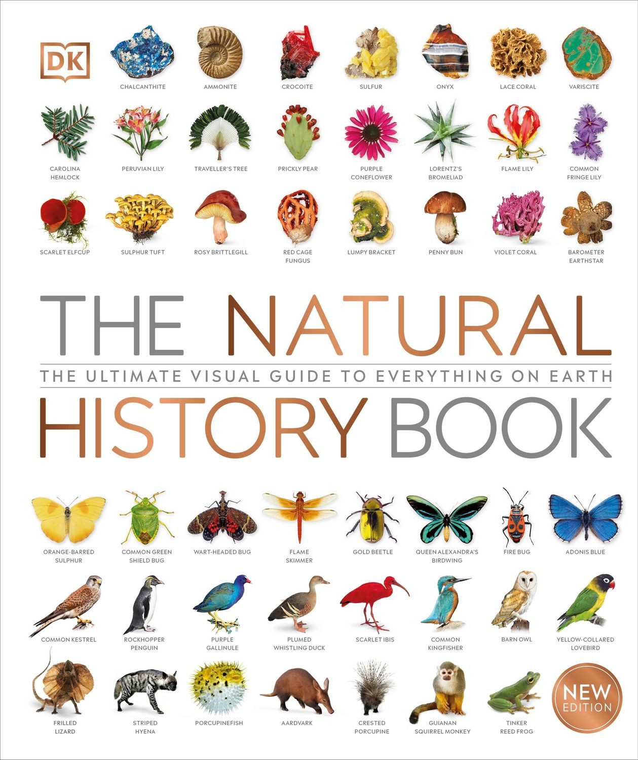 The Natural History Book / DK