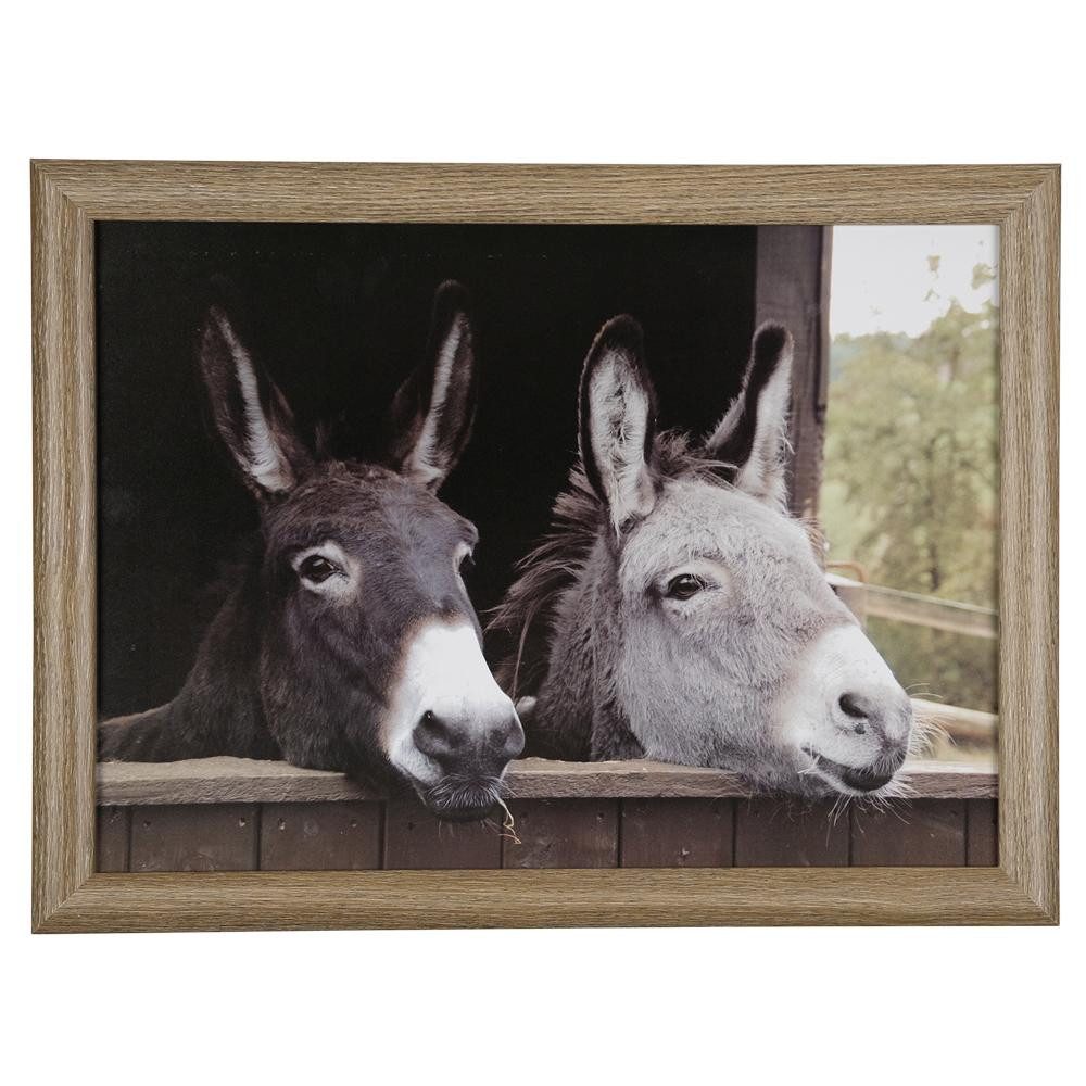INNA-Glas Dekokissen Deko Kissen BJARKA, Esel Motiv, braun-grau-grün, 43x33x7cm