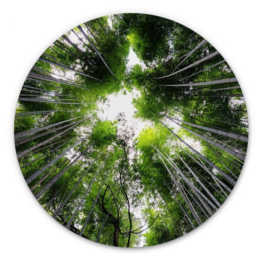 Alu-Dibond-Druck Metallposter Rund Wald Baum des Lebens Natur Japan Hugonnard