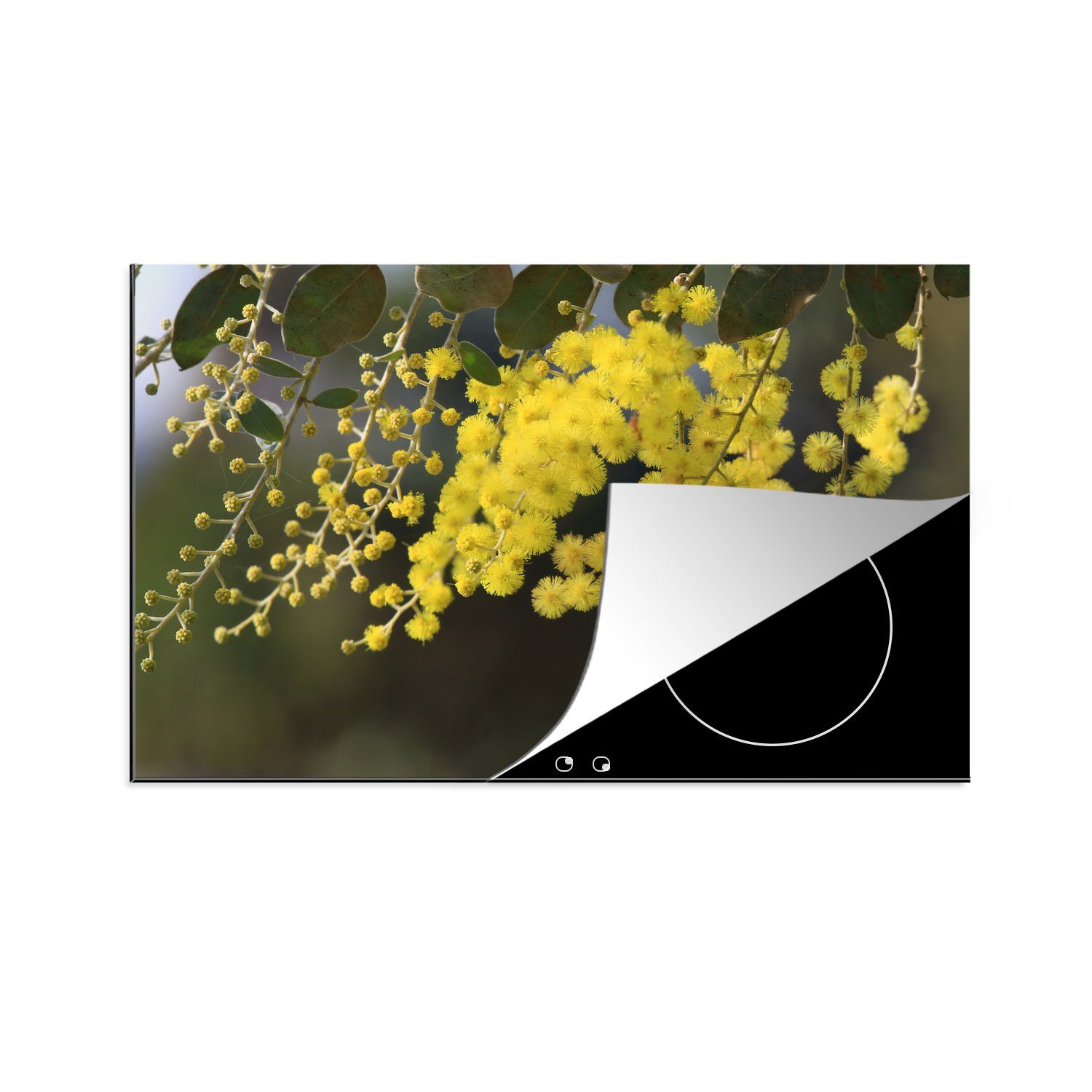 MuchoWow Herdblende-/Abdeckplatte Mimosenpflanze mit gelben Blättern, Vinyl, (1 tlg), 83x51 cm, Ceranfeldabdeckung, Arbeitsplatte für küche