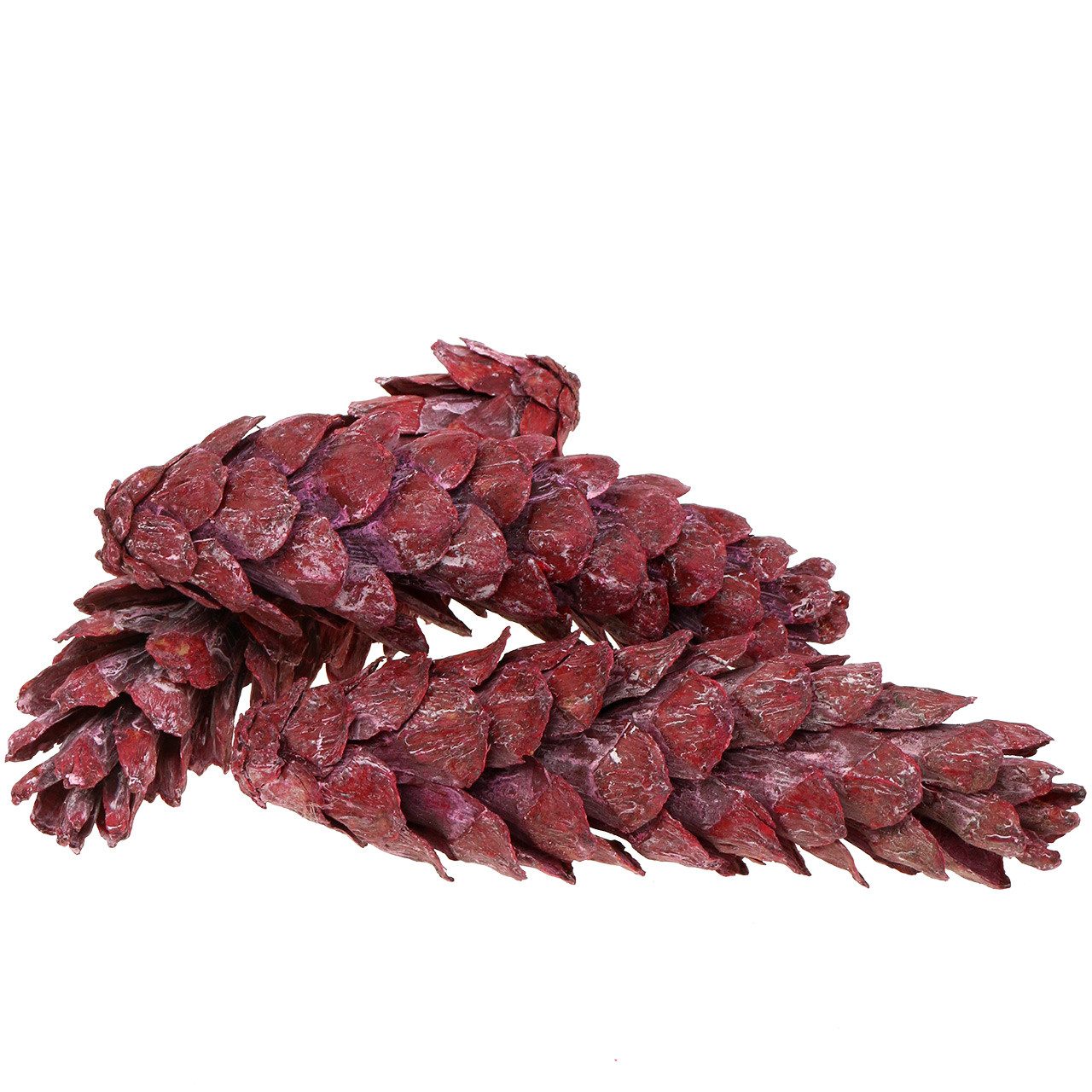 Trockenblume Strobus Zapfen Deko Rot Weiß gewaschen Weihnachten 50 St, Florists Products, Höhe 7 cm
