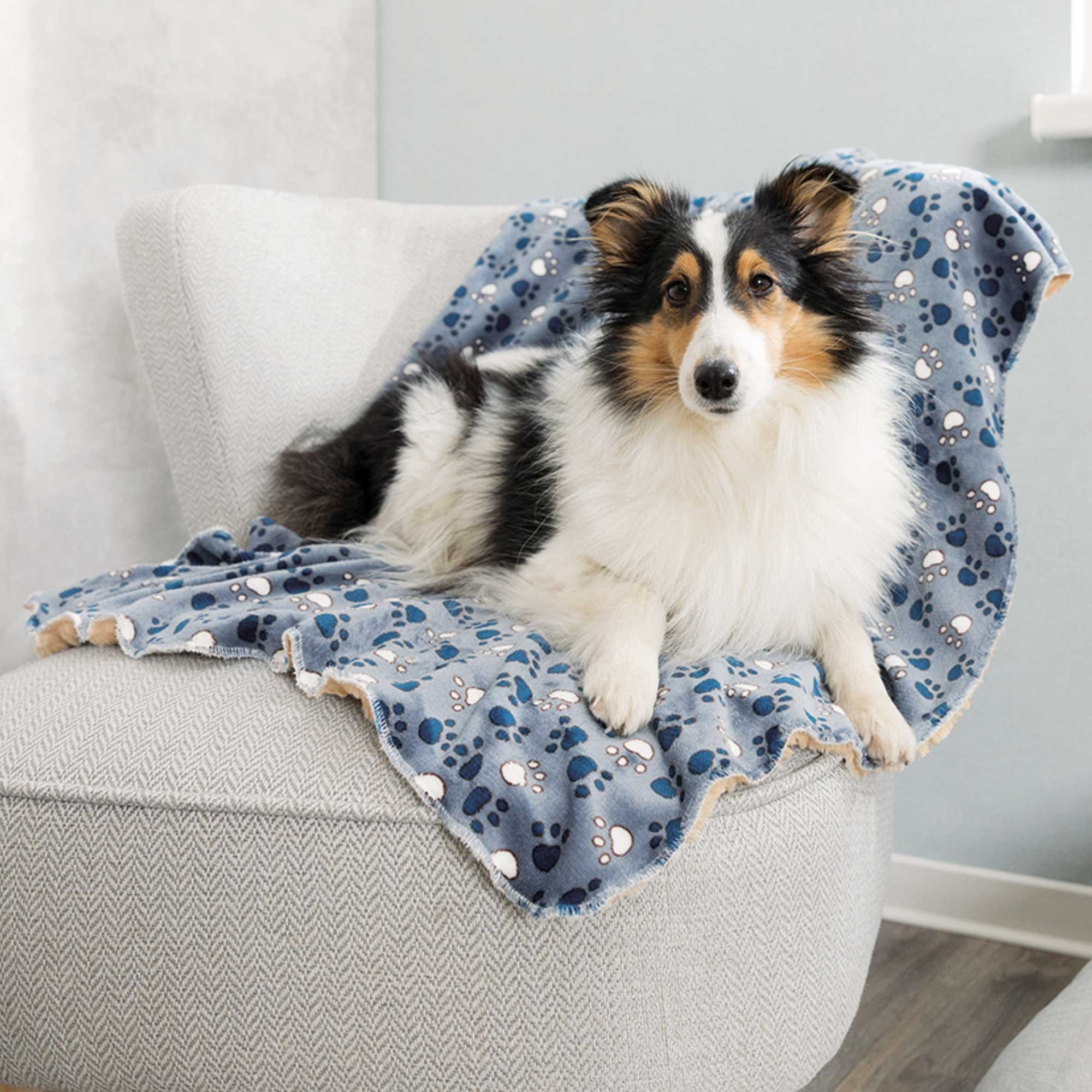 TRIXIE Tierdecke Hundedecke Tammy - in 2 Größen lieferbar, verschiedene Grö günstig online kaufen