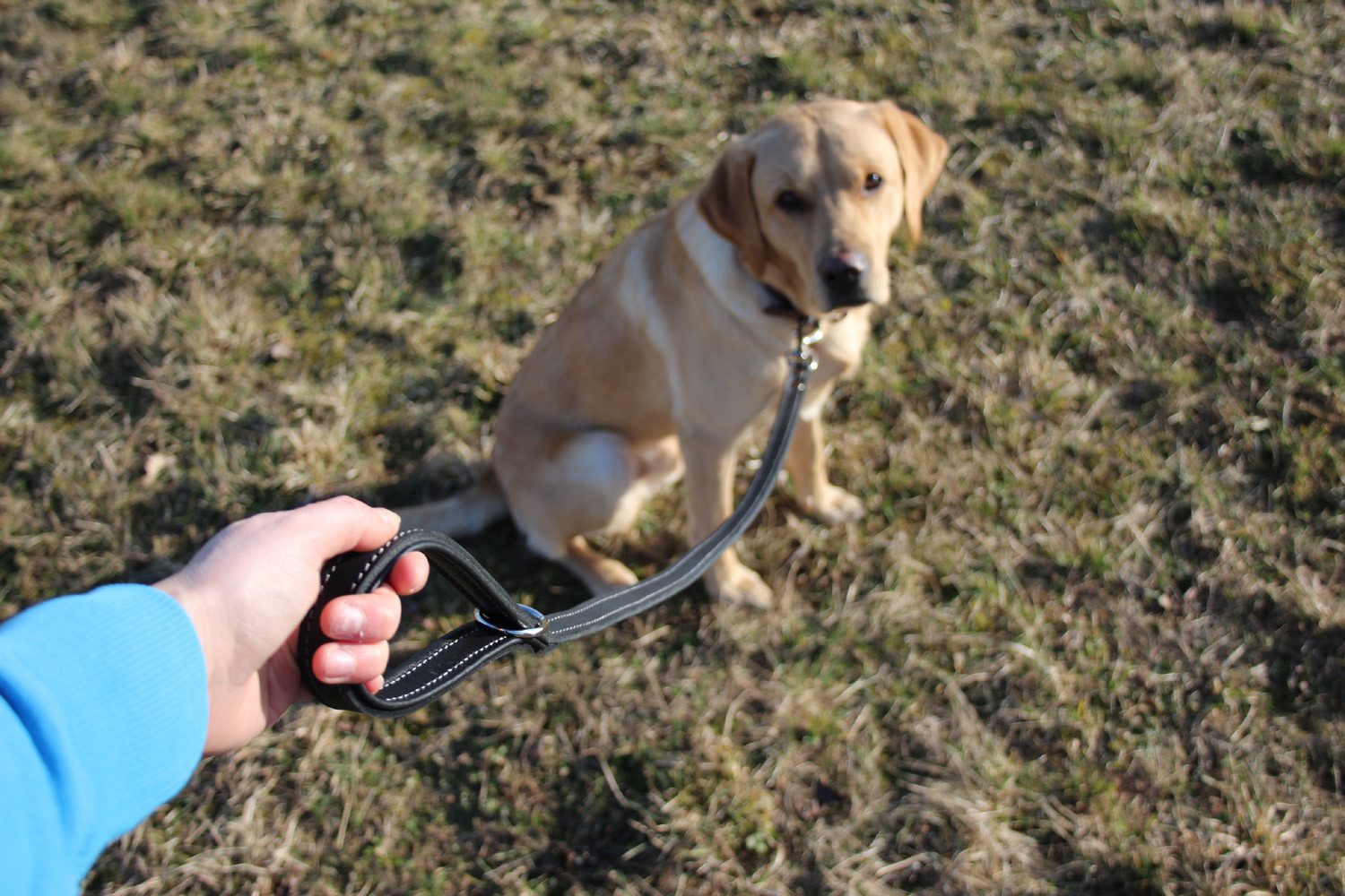 Activity4Dogs Hundeleine für große Hunde Leder, 1m, mit gepolsterter Schlaufe, verschiedene Farben, Made in Germany