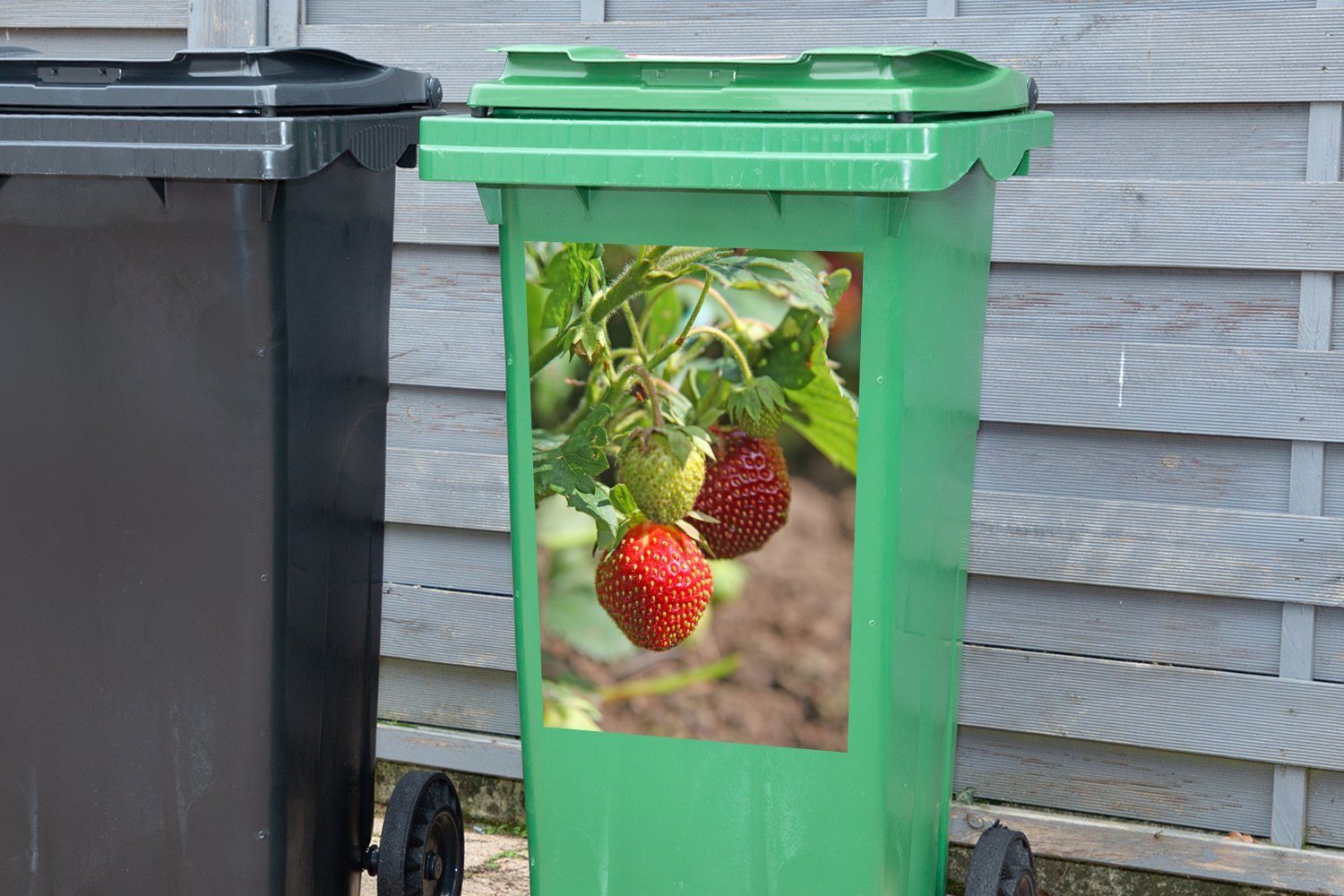 Pflanze Erdbeeren Mülleimer-aufkleber, St), Wandsticker (1 Abfalbehälter Obst Sticker, Mülltonne, MuchoWow - Container, -