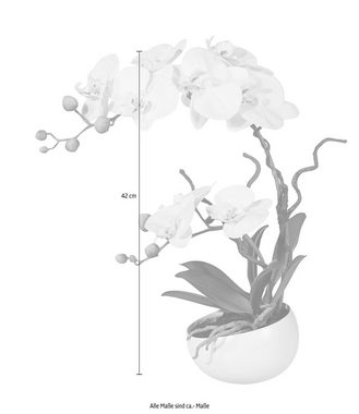 Kunstpflanze Orchidee Orchidee, Creativ green, Höhe 42 cm