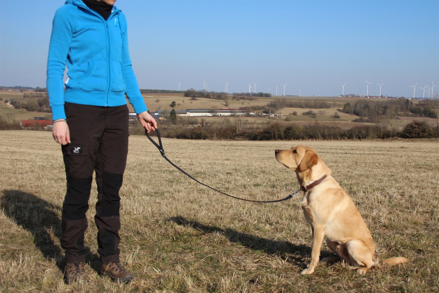 Thumbnail - Activity4Dogs Hundeleine für große Hunde Leder, 1m, mit gepolsterter Schlaufe, verschiedene Farben, Made in Germany
