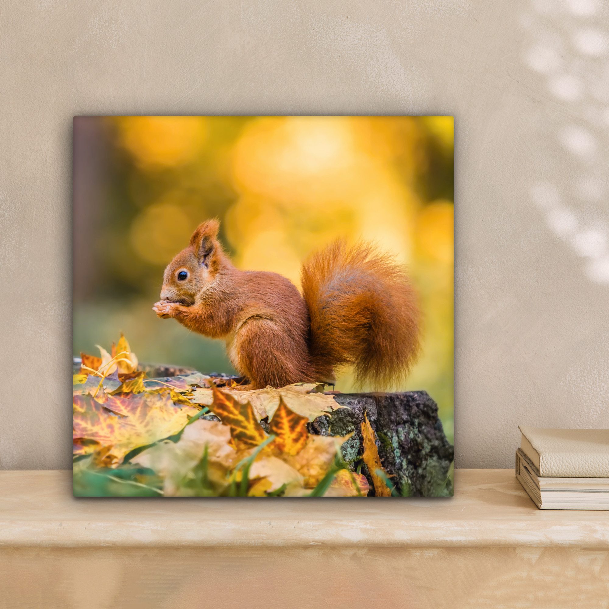 OneMillionCanvasses® Leinwandbild Eichhörnchen - Herbst - Tiere - Herbstlic günstig online kaufen