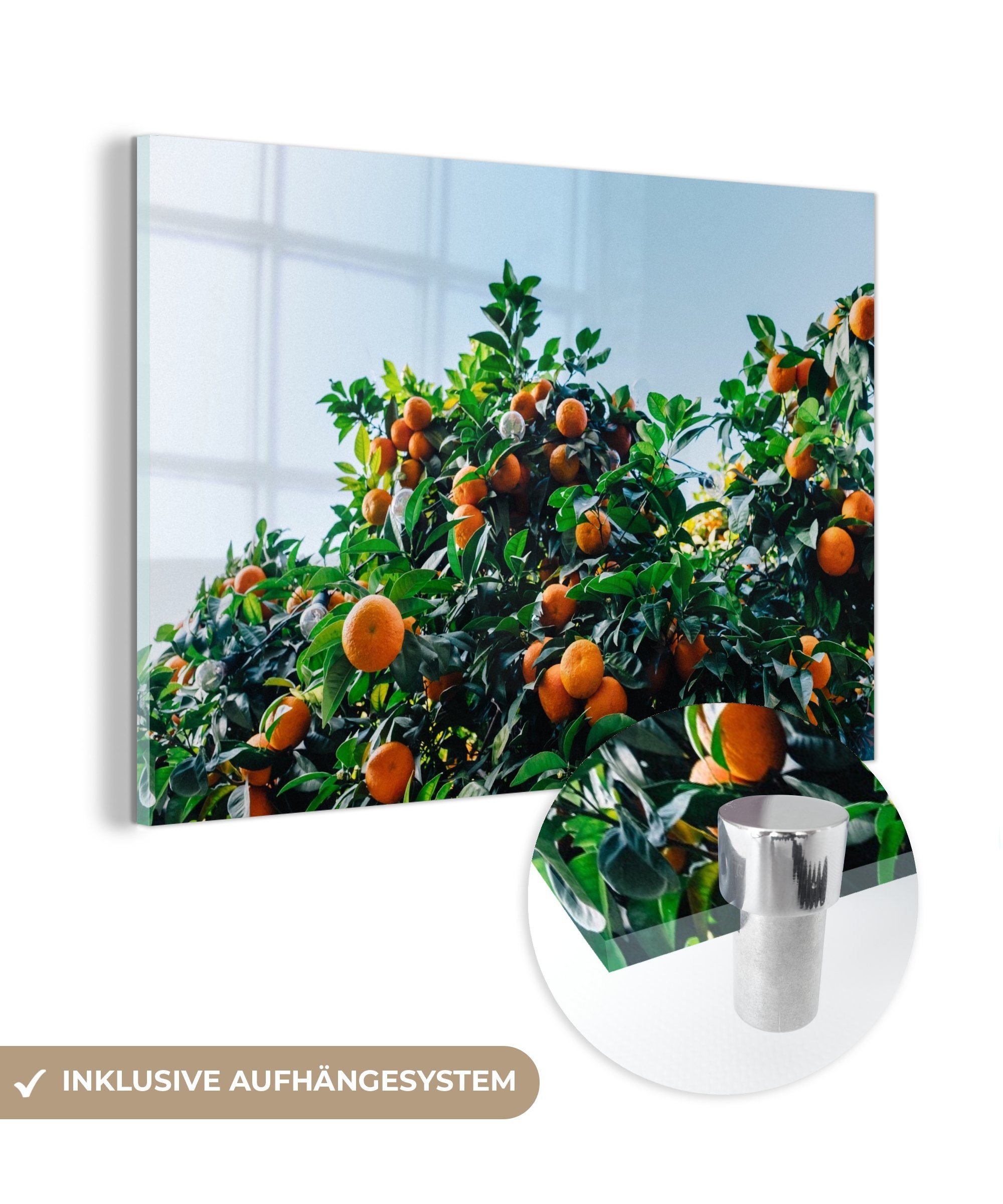 MuchoWow Acrylglasbild Obst - Orange (1 Schlafzimmer Baum, Acrylglasbilder St), & Wohnzimmer 