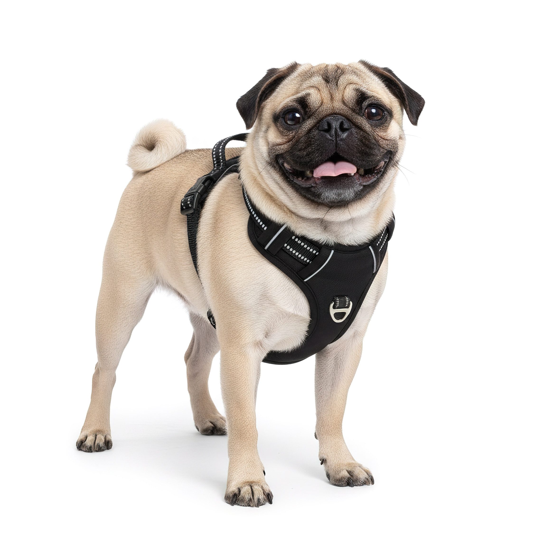 Reichstadt Hunde-Geschirr RS Pets Norwegergeschirr 25RSP083, Polyester, atmungsaktives Netzgewebe und robuster Oxford-Stoff