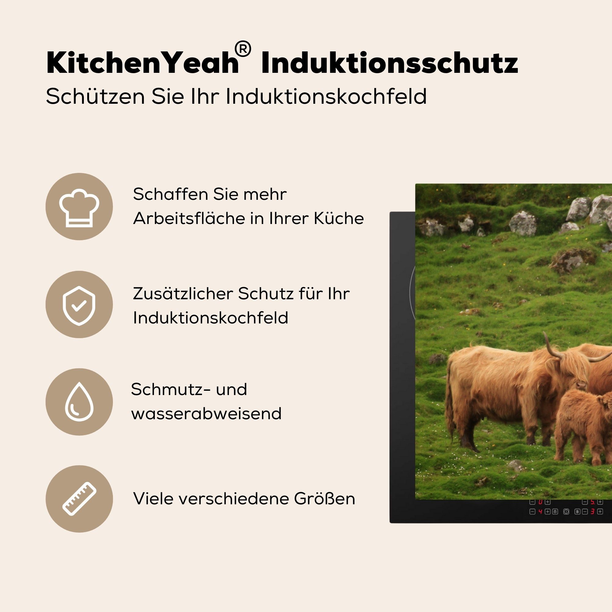 MuchoWow Herdblende-/Abdeckplatte Schottische Highlander-Familie, Vinyl, tlg), küche (1 78x78 Arbeitsplatte Ceranfeldabdeckung, für cm