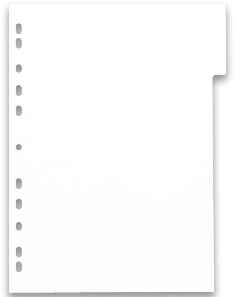 OXFORD Aktenordner Register myColour A4 PP 300 my 12 Blatt sortierte Packung Packung mit