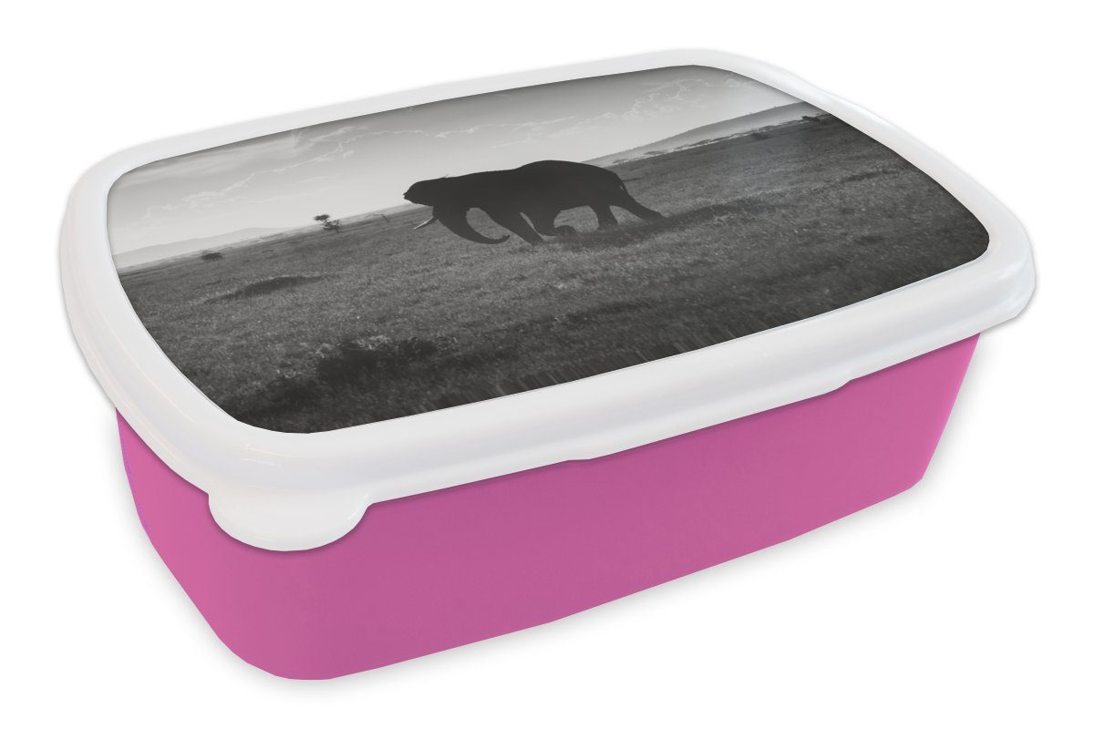 MuchoWow Lunchbox Elefant - Einfarbig - Tiere - Schwarz und weiß, Kunststoff, (2-tlg), Brotbox für Erwachsene, Brotdose Kinder, Snackbox, Mädchen, Kunststoff rosa