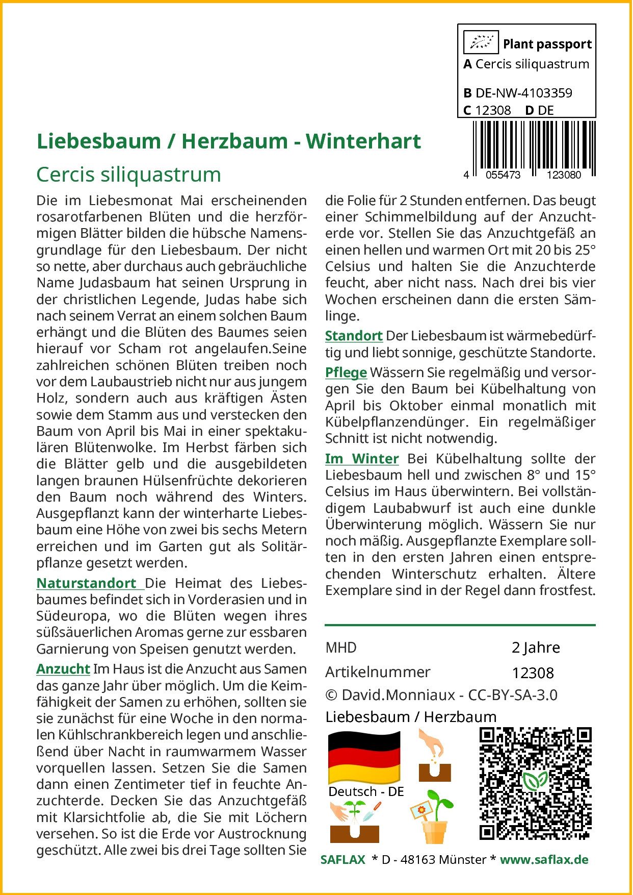 SAFLAX Blumensamen SAFLAX - Liebesbaum - günstig online kaufen